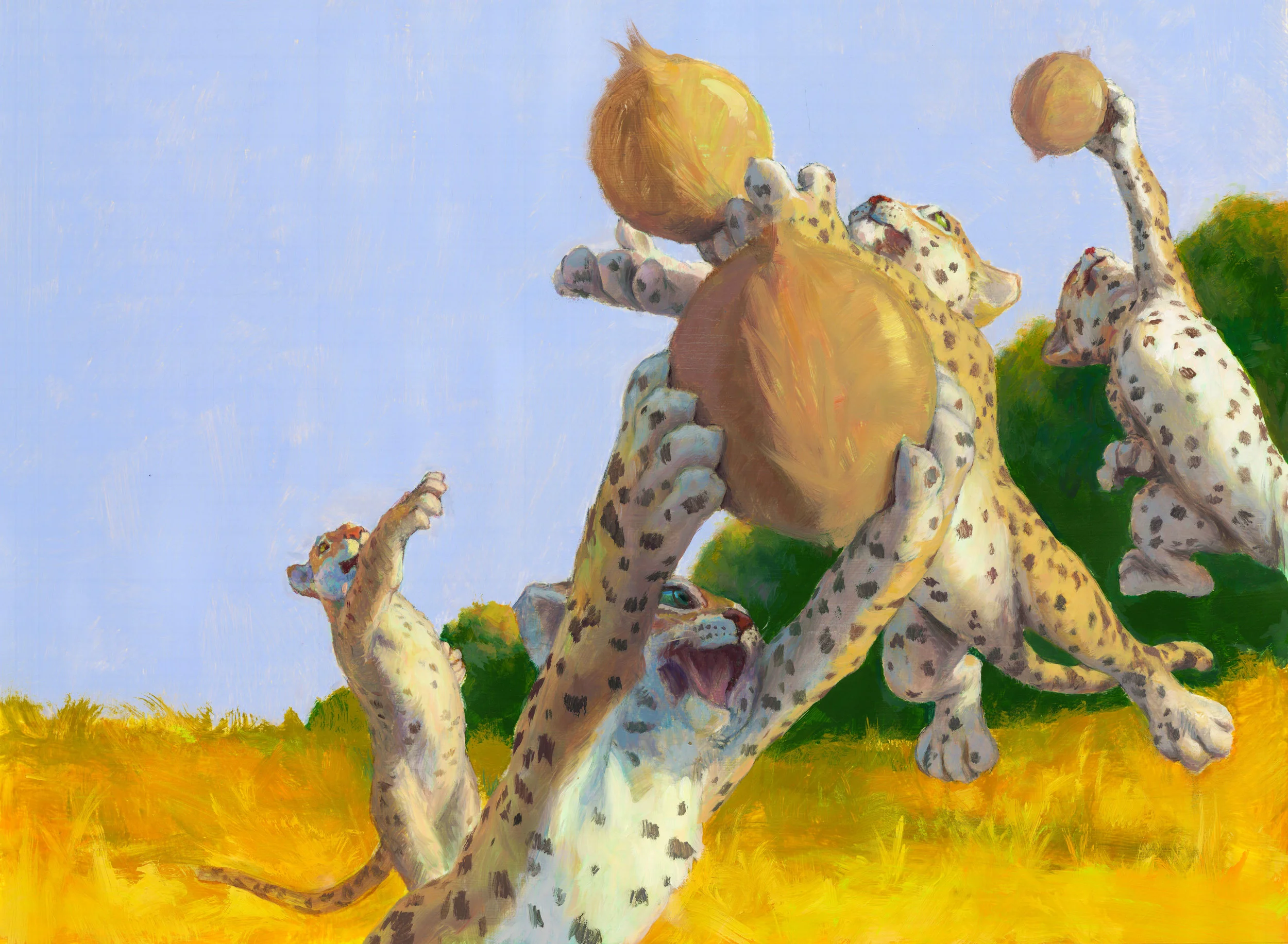 Papa Leopard playing catch with his sons