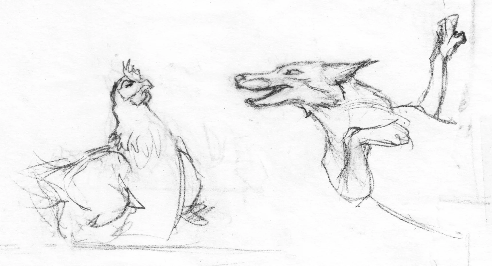 Food Chain 54 option2.jpg