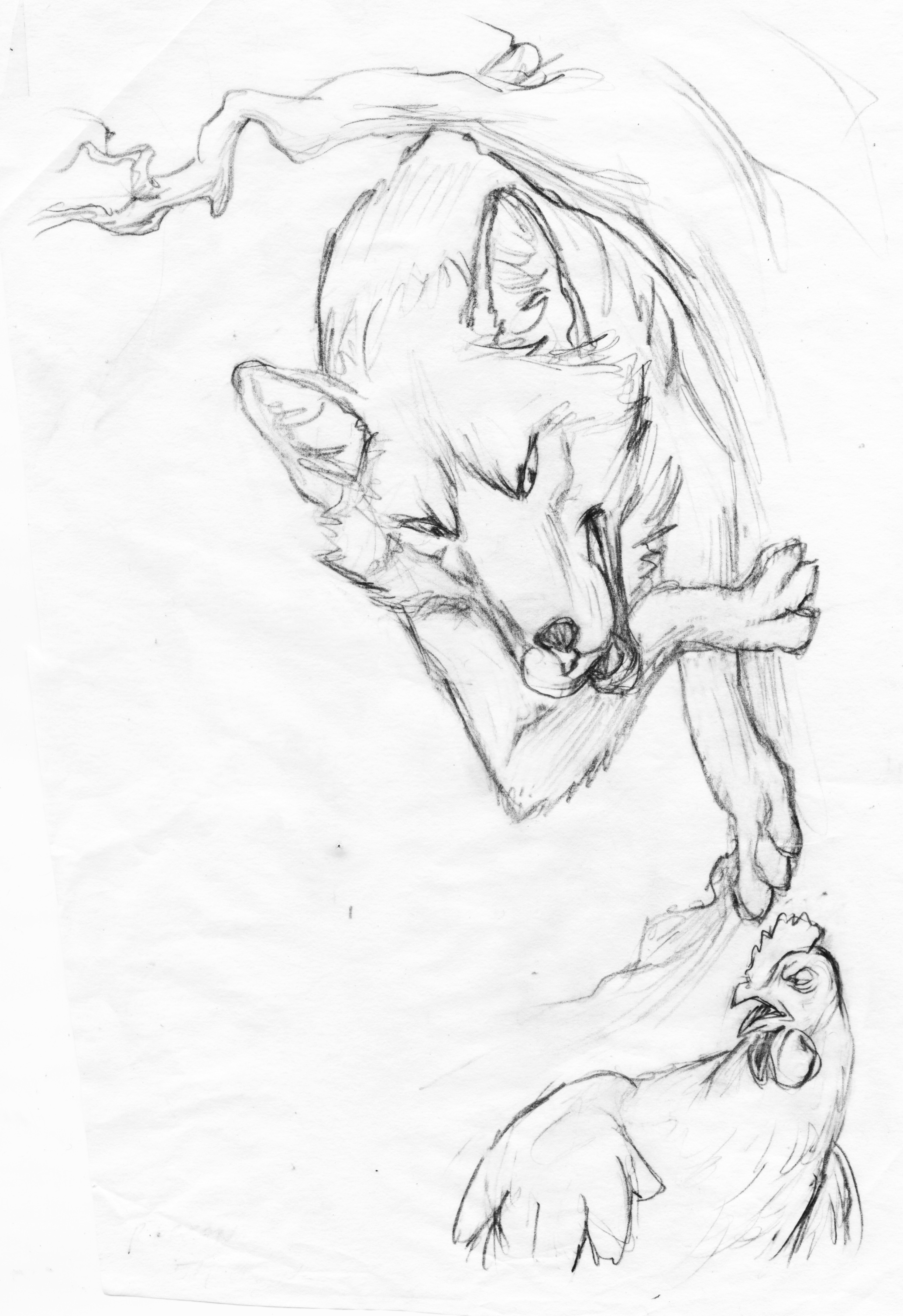 Food Chain 54 option6.jpeg