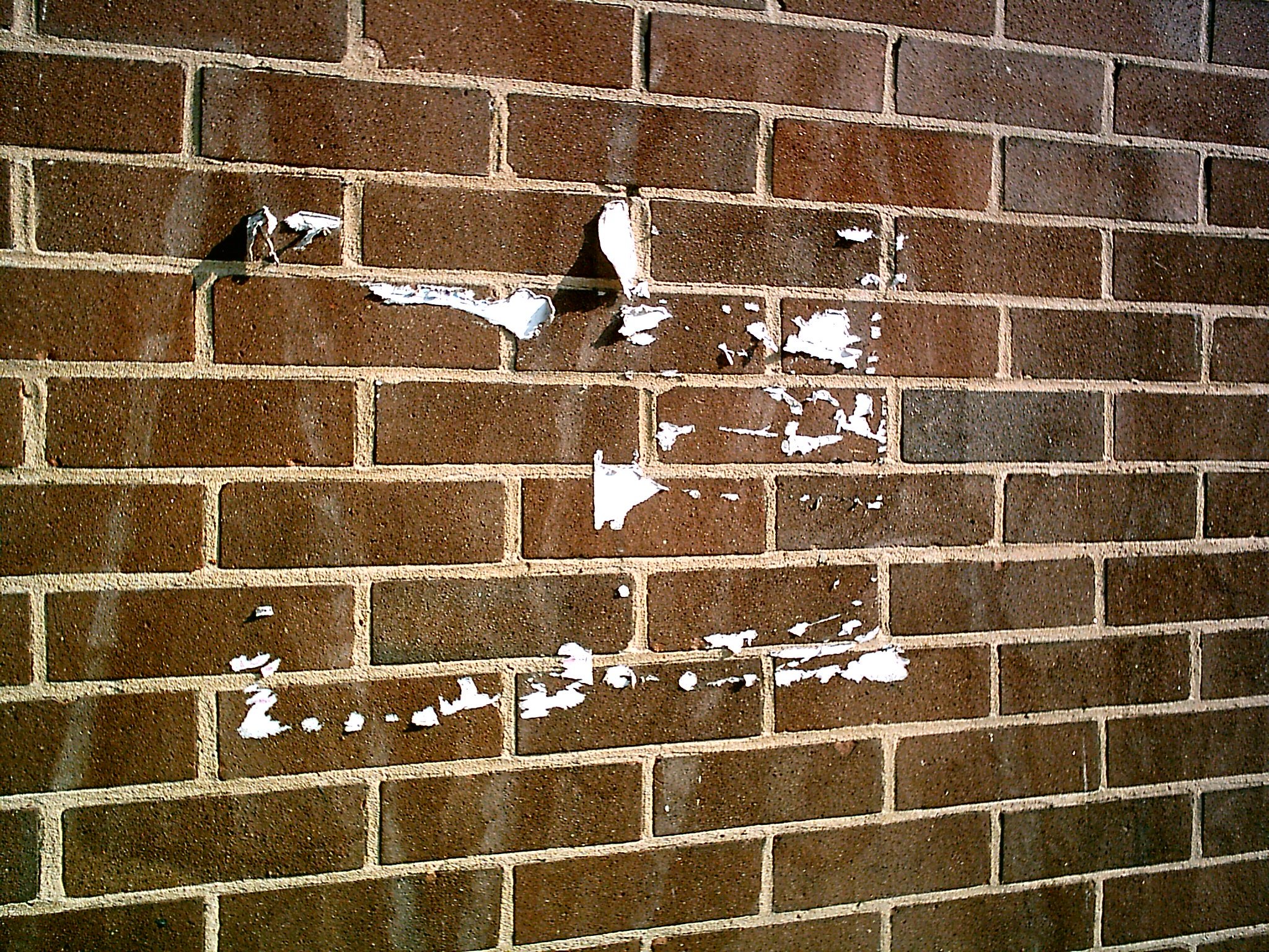 IMAG0021 3mp.jpg