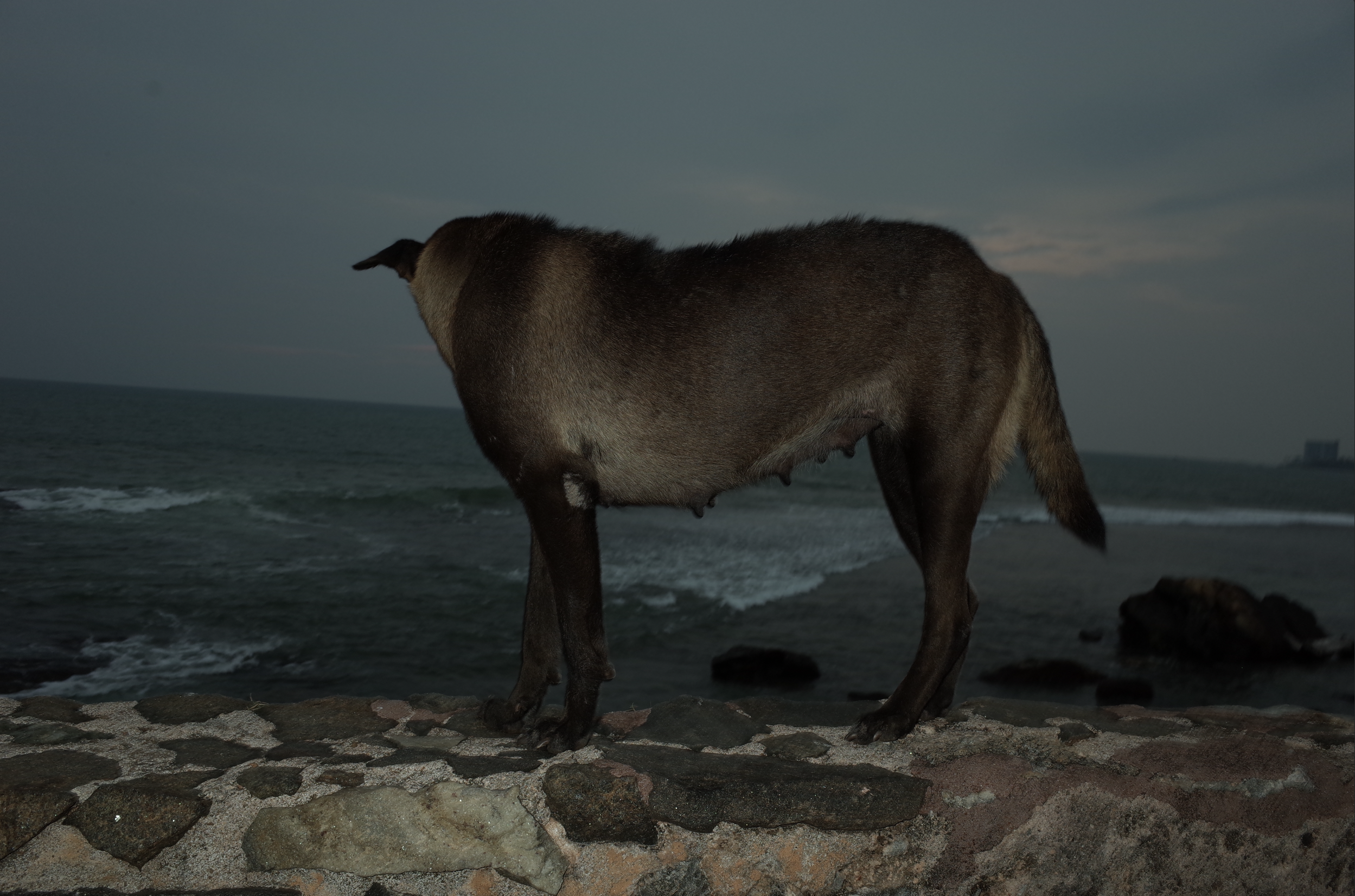 Screenshot 2025-09-21 at 21.56.57.png