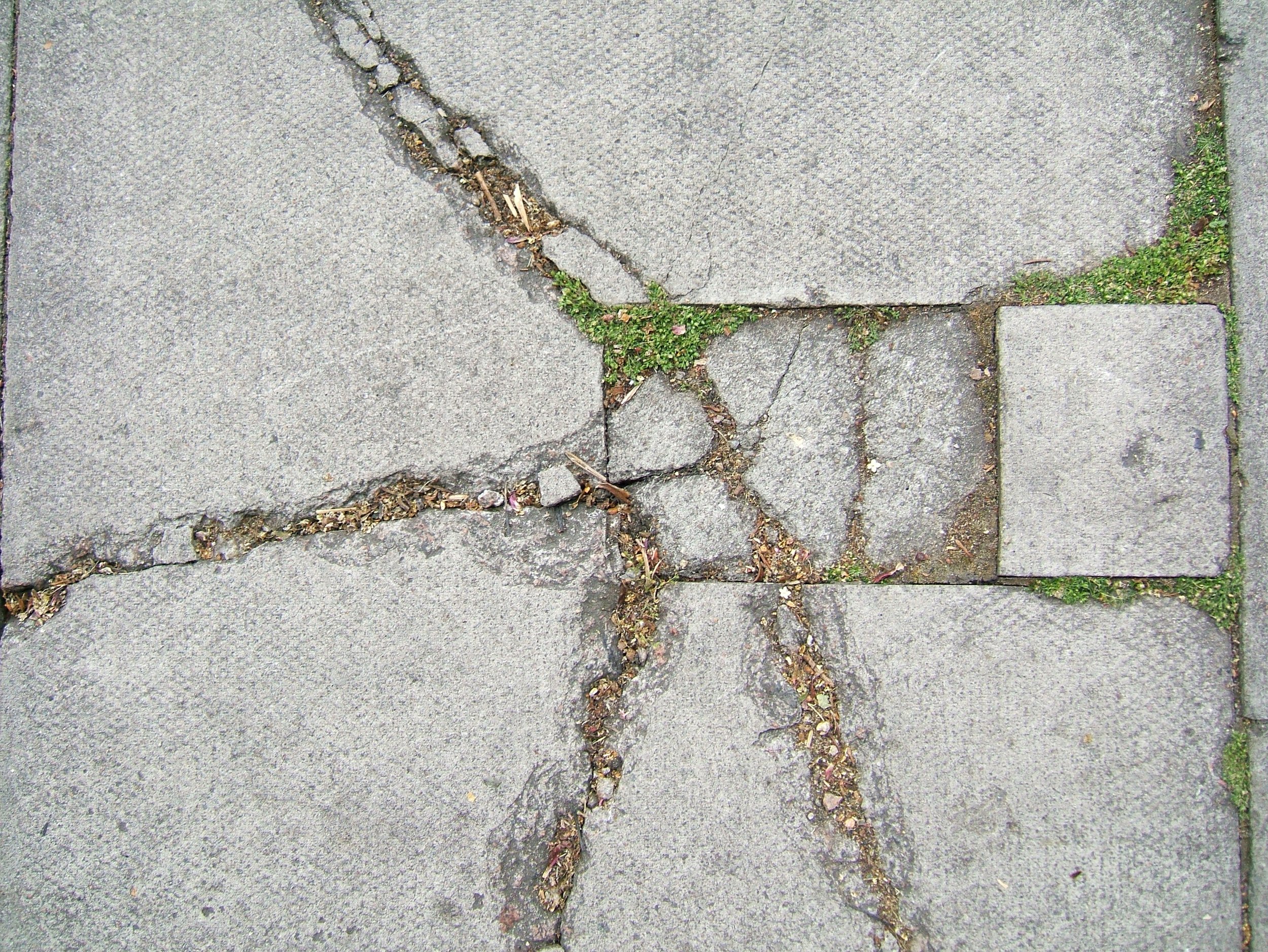 DSCF2550.jpg