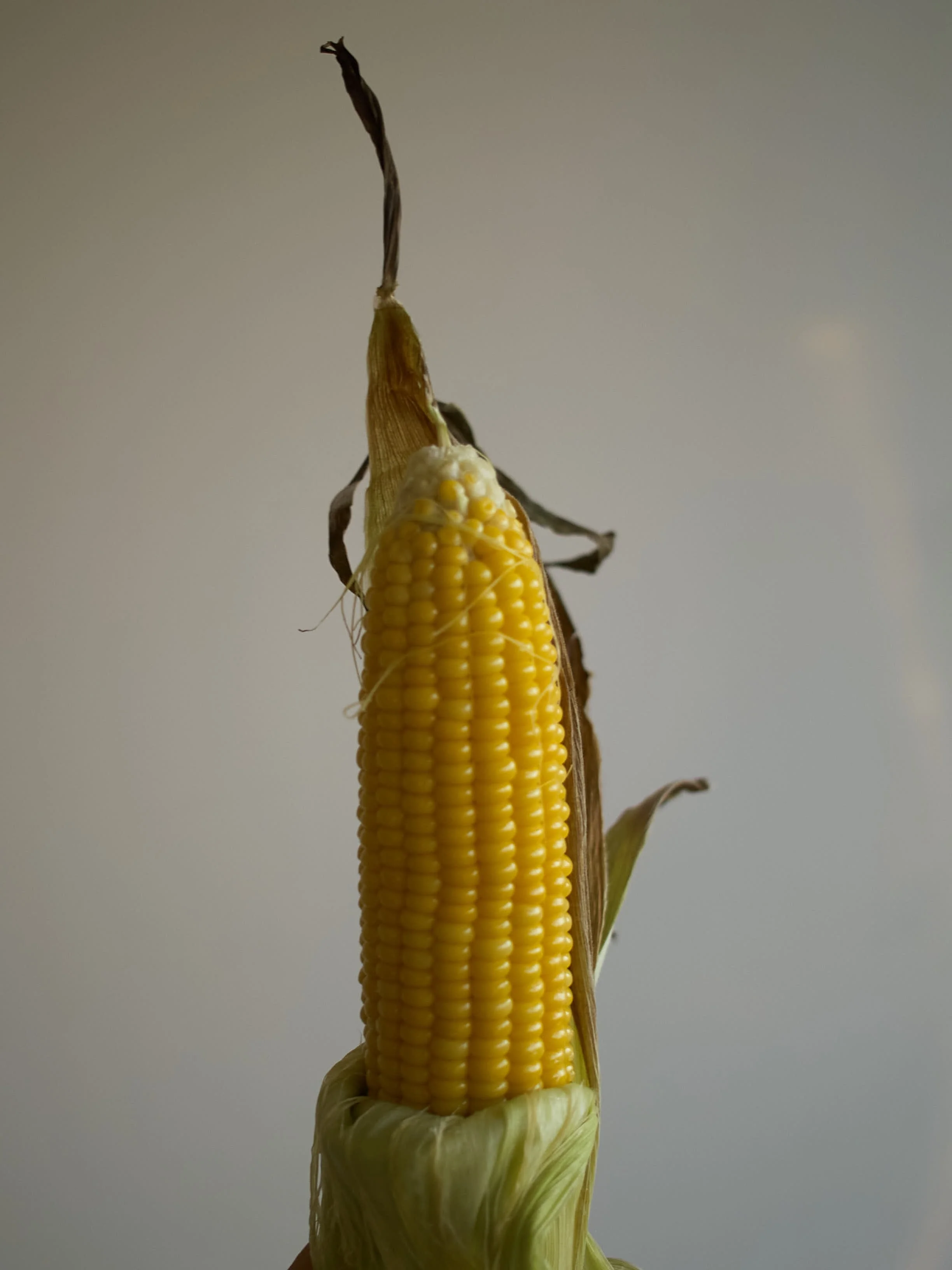 P1013216.jpg