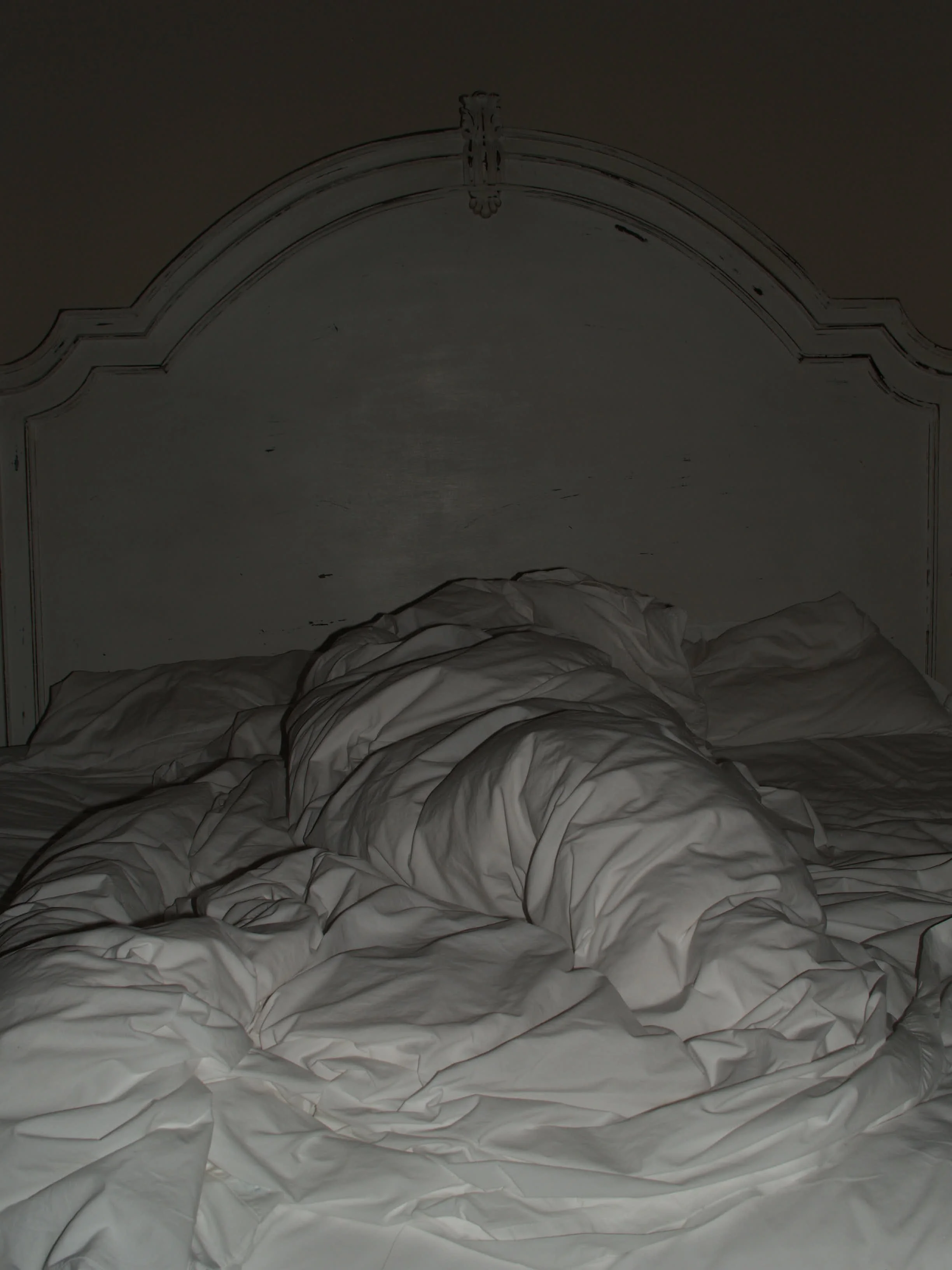 P1014695.jpg