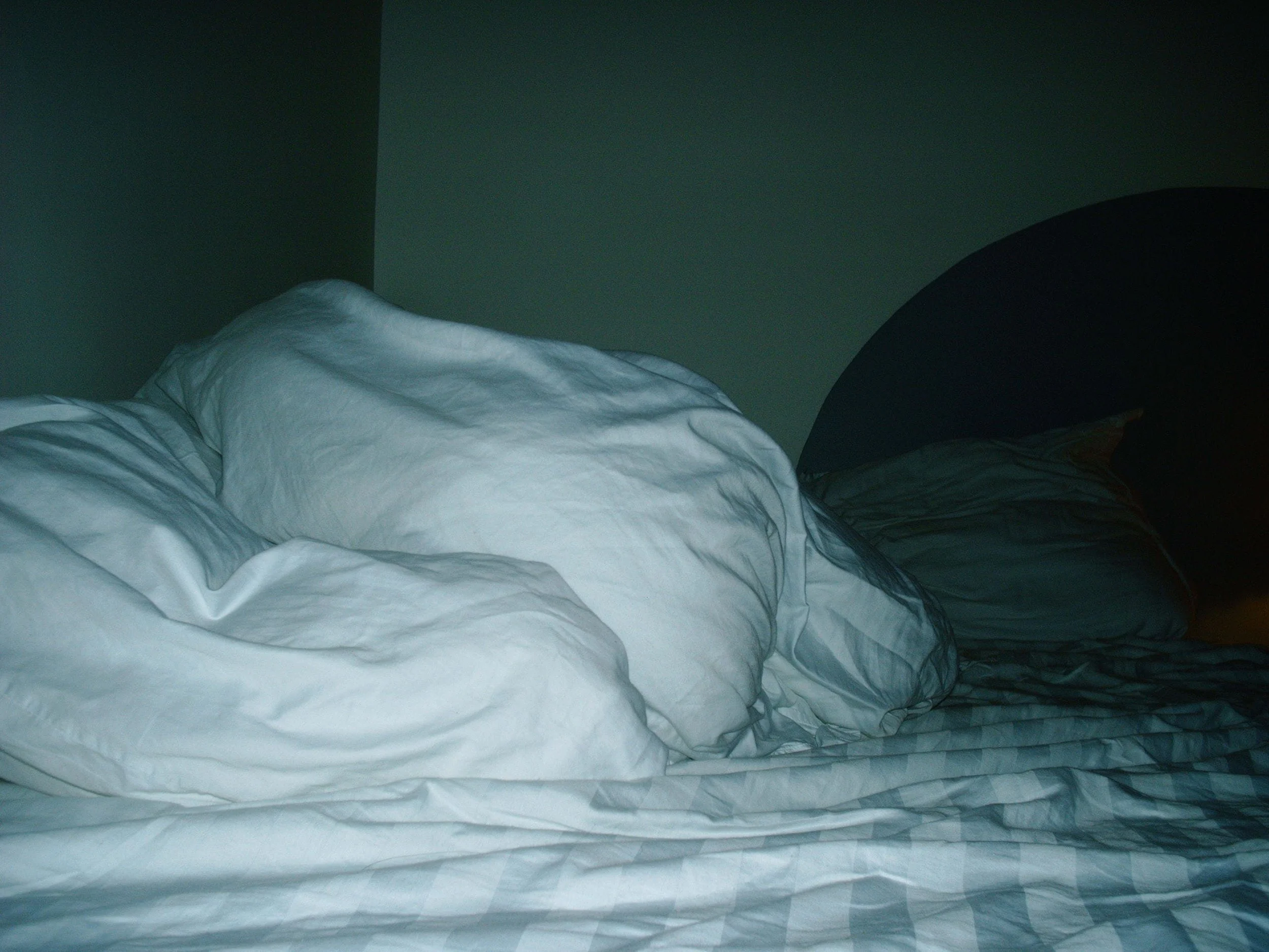 PICT0043.jpg