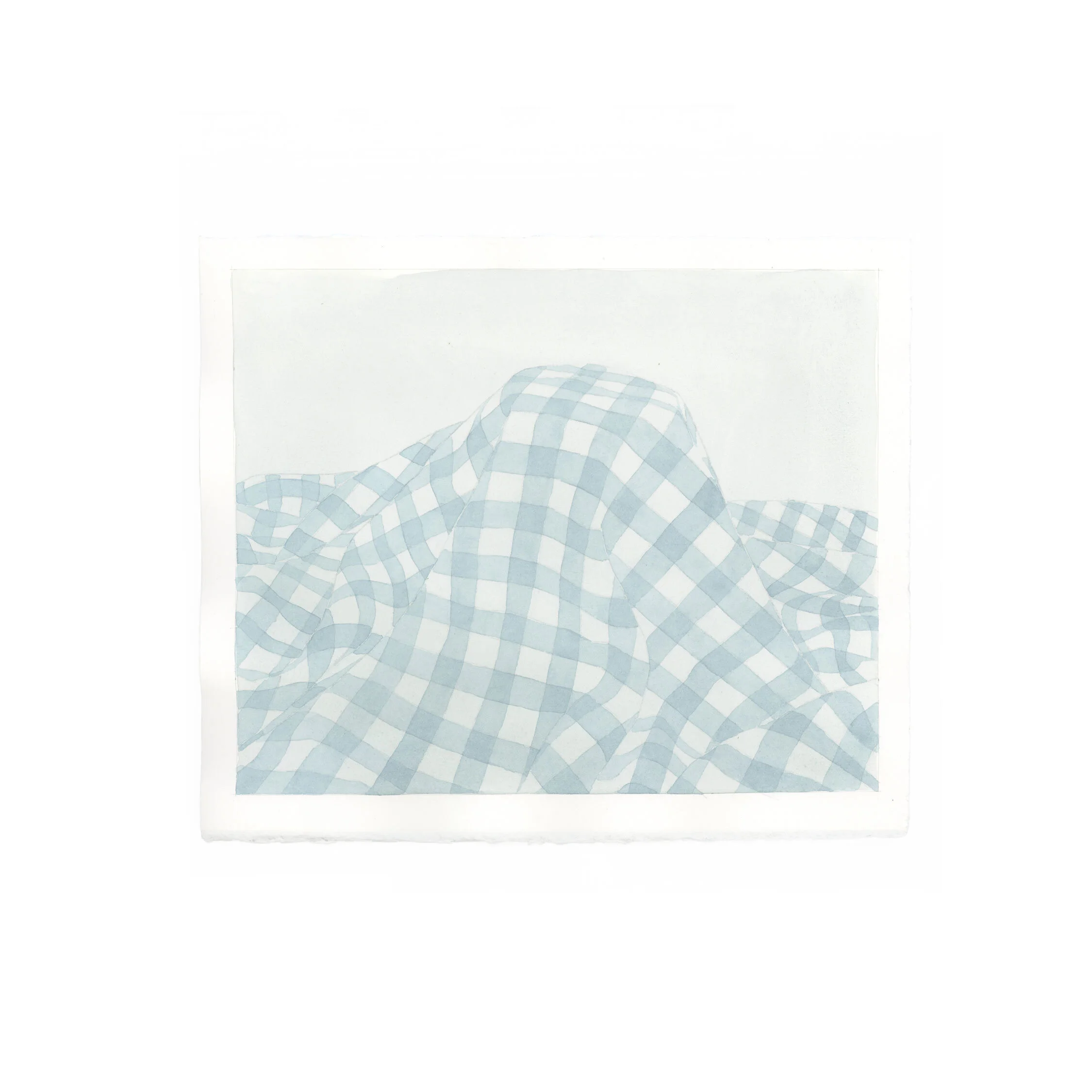 BlueBlue_Gingham.jpg