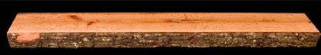 This is one of my personal favorites. The bark on the front edge really makes this piece unique. The quarter-sawing really stands out. Notice the grain pattern covering the entire surface. This oak mantel would have a strong presence in any lodge.