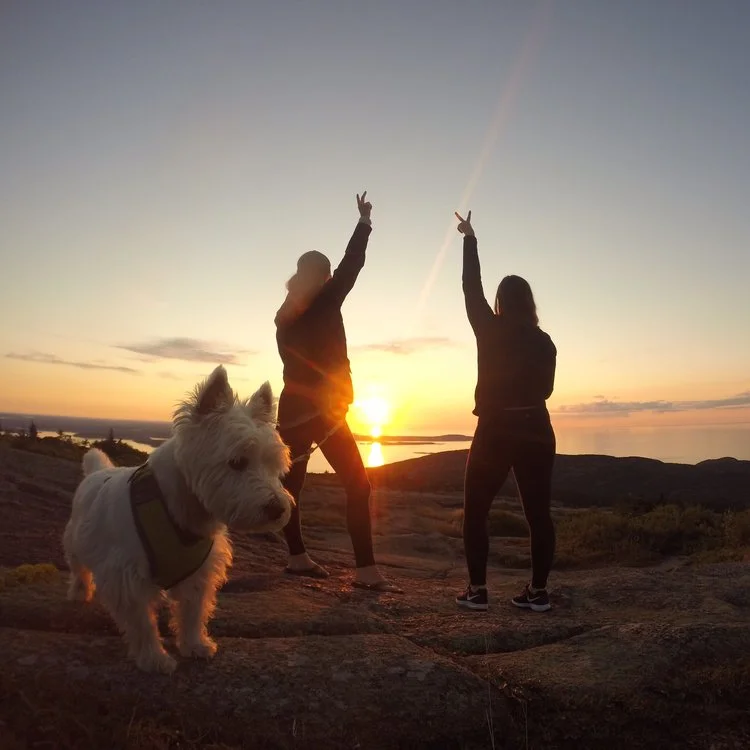 acadia national park, maine