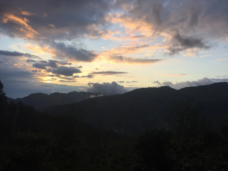 blue mountains, jamaica