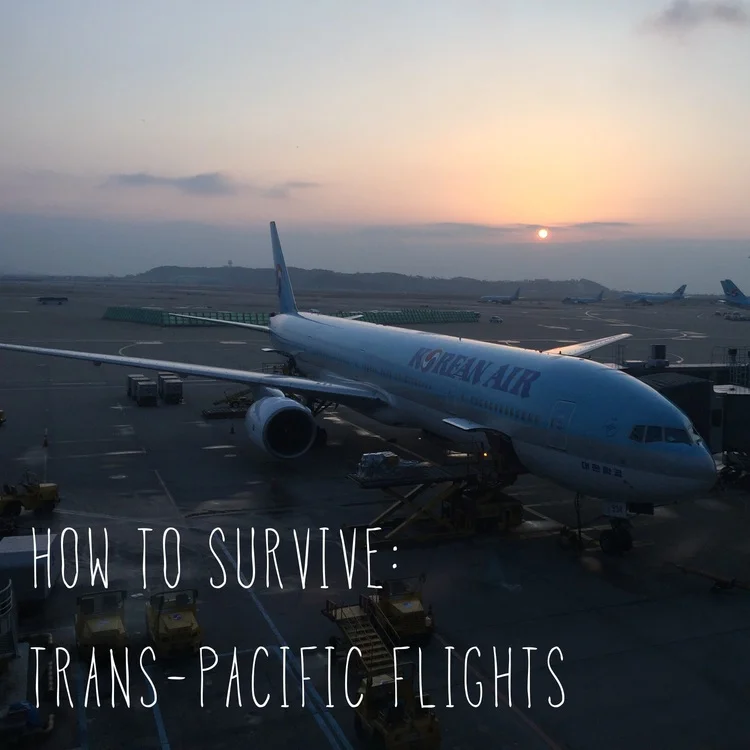 how to survive: trans-pacific flights