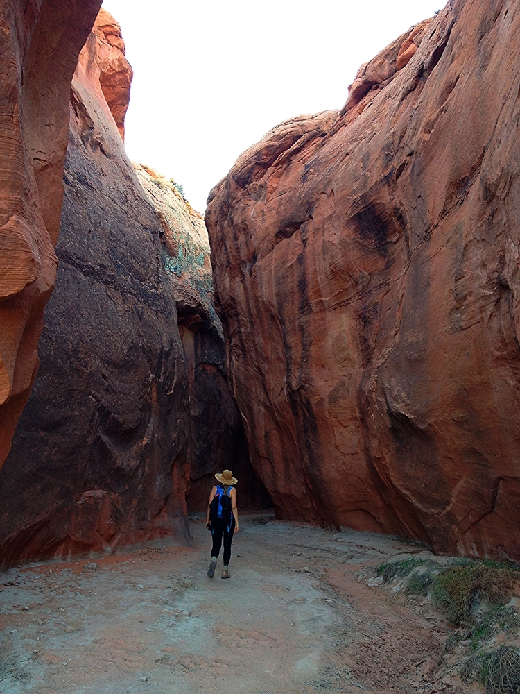 bryce canyon and grand staircase-escalante, ut