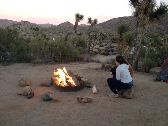 joshua tree, ca