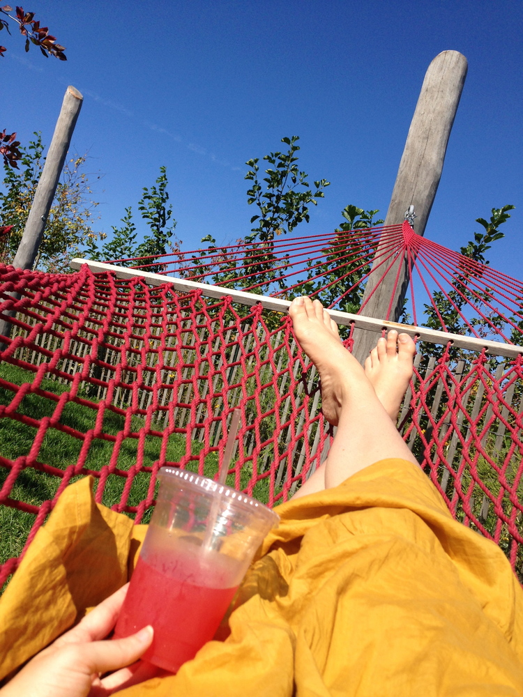 governor's island, ny