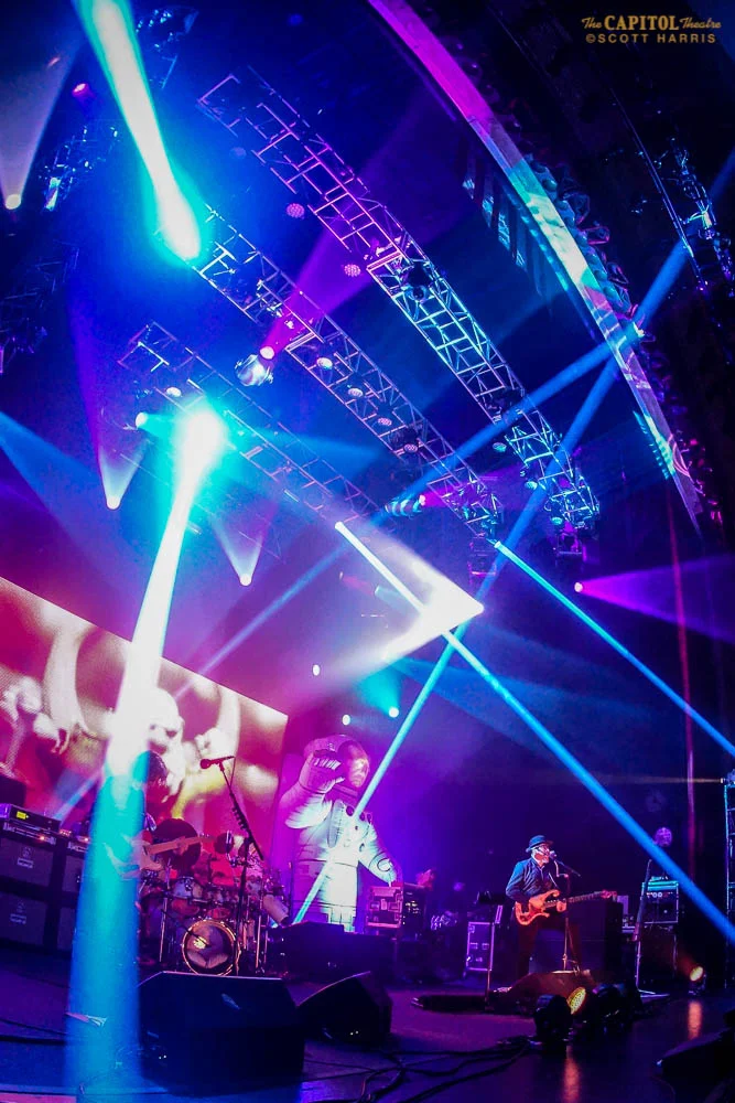 Scott_Harris-Primus-1000px-02695.jpg