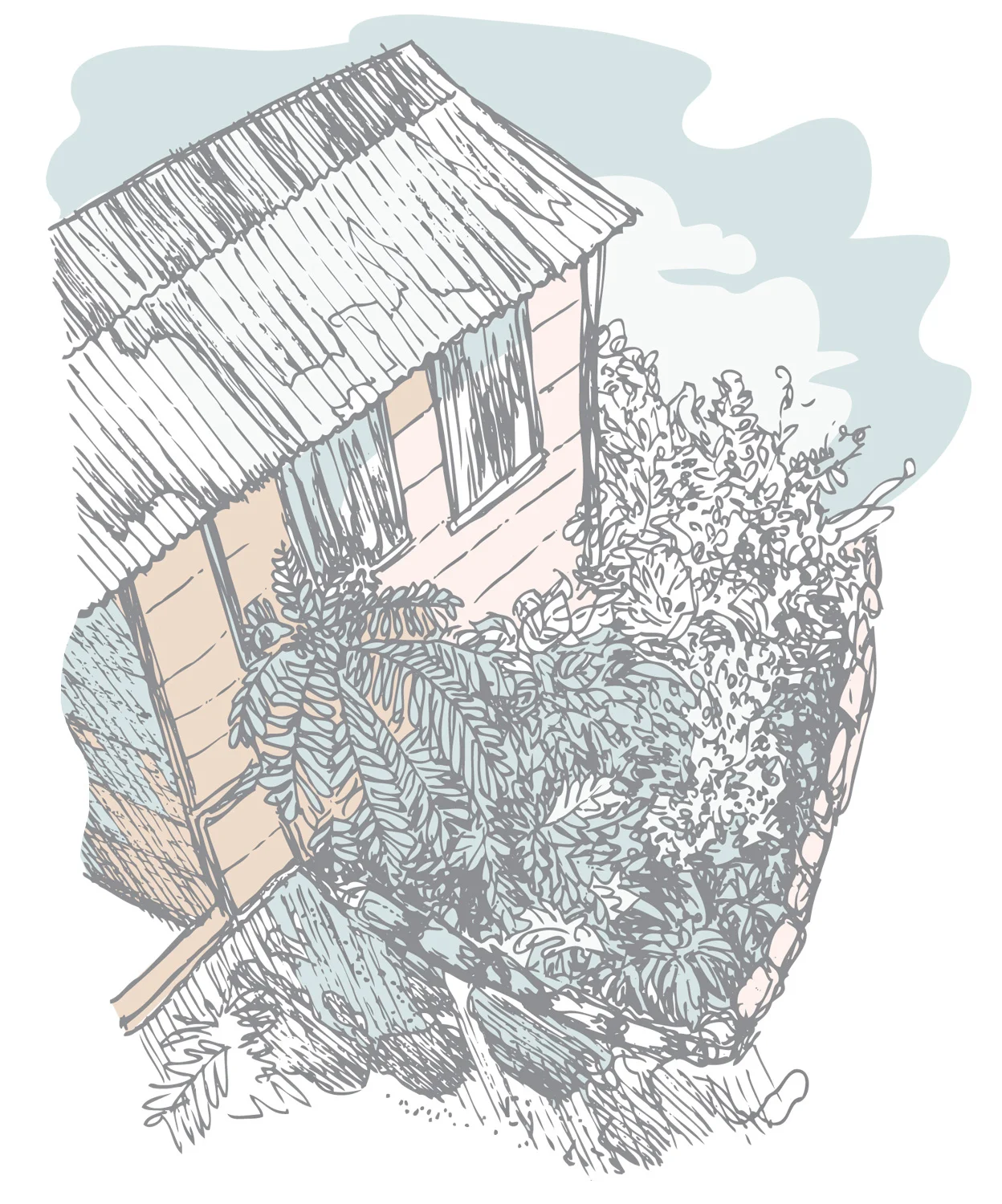 Illustrations_Belize_lg.jpg