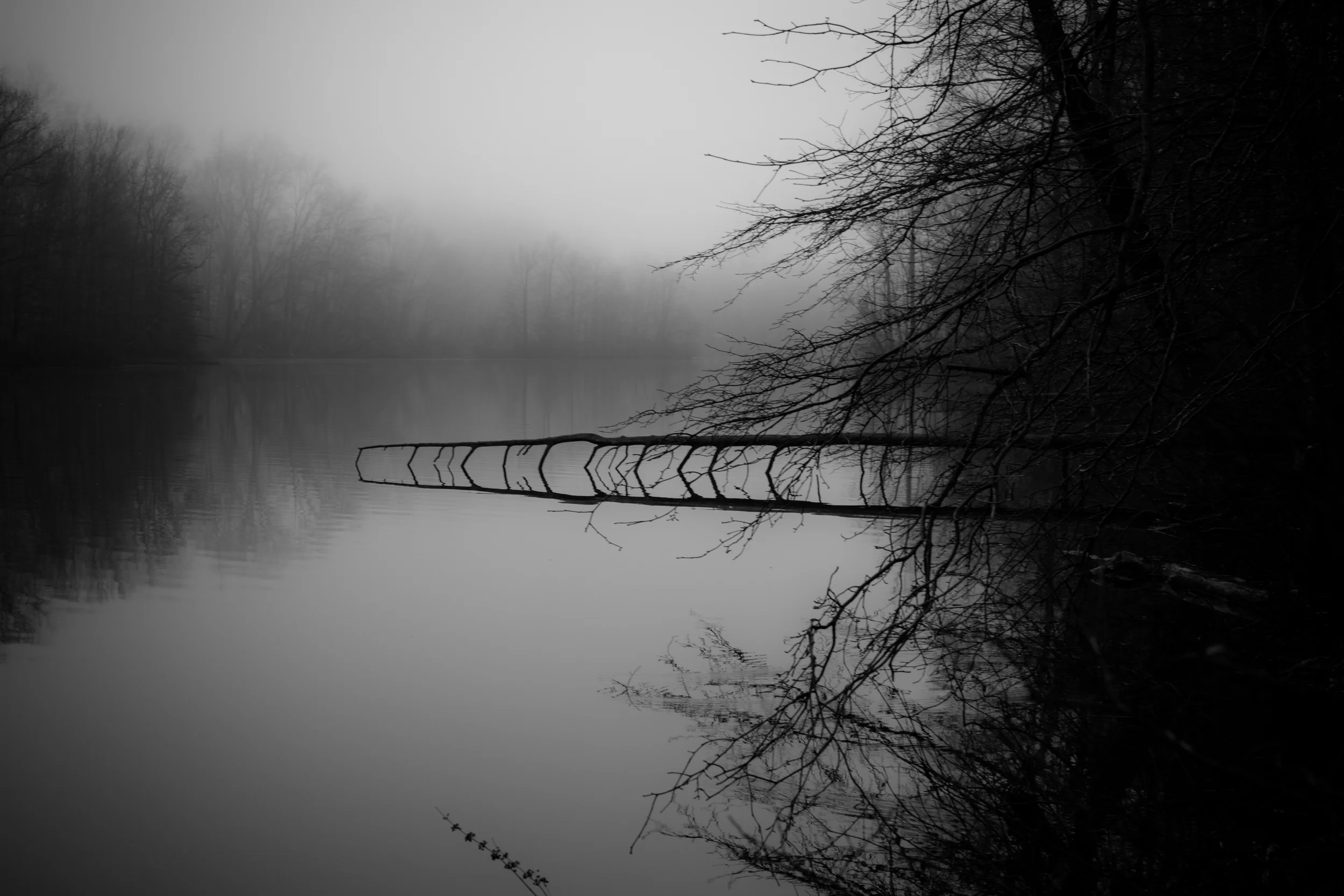 November
