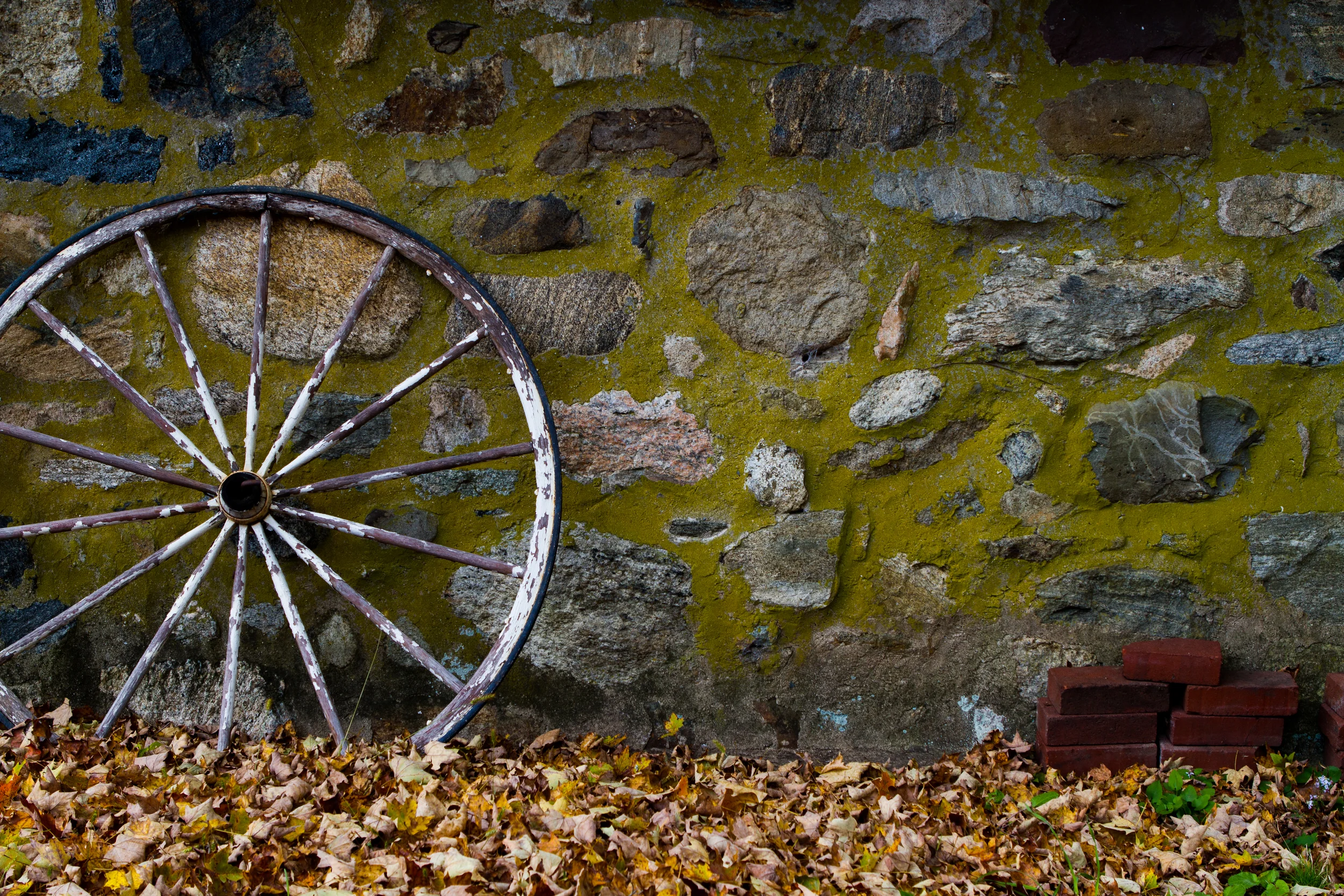 The wheel