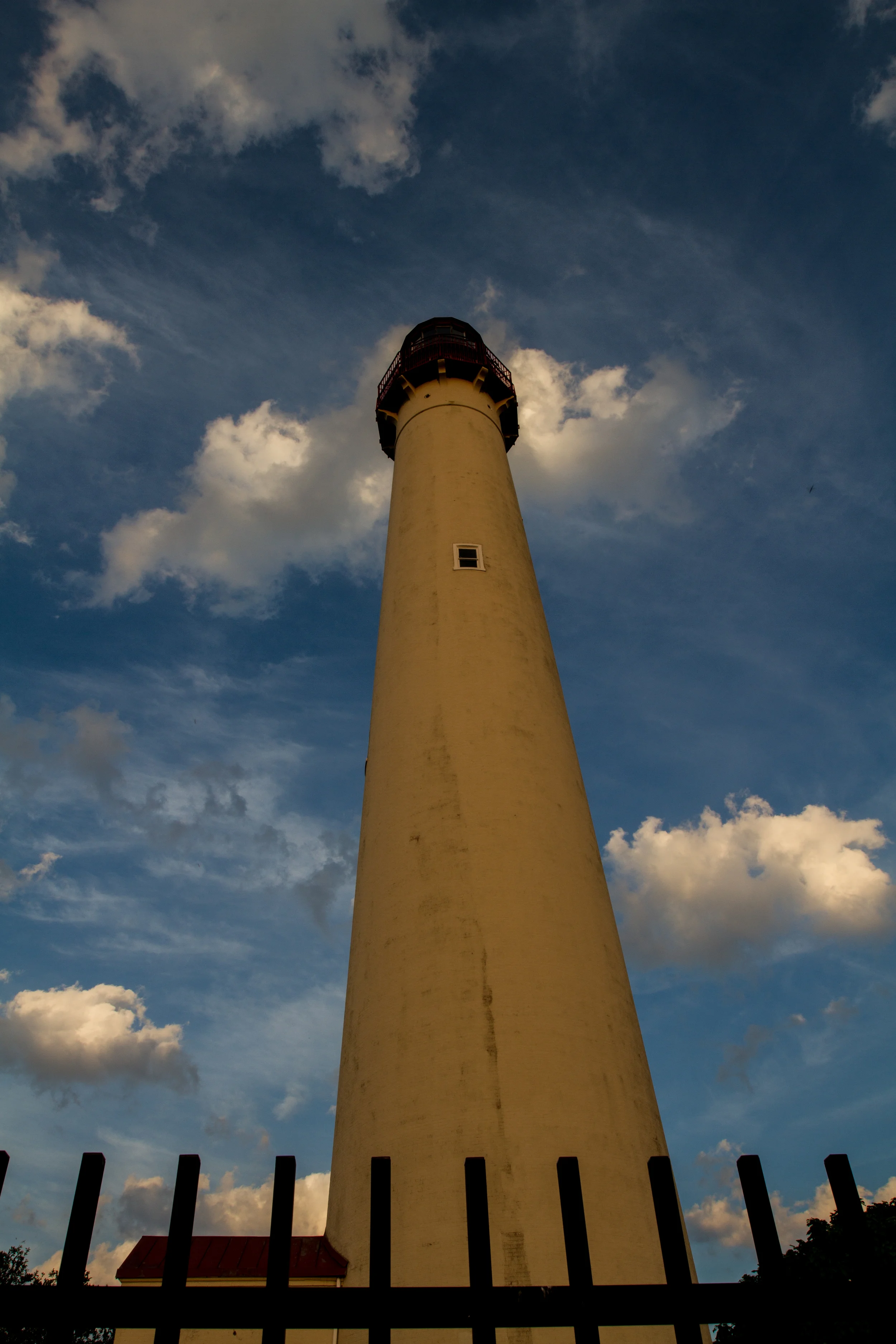 The light