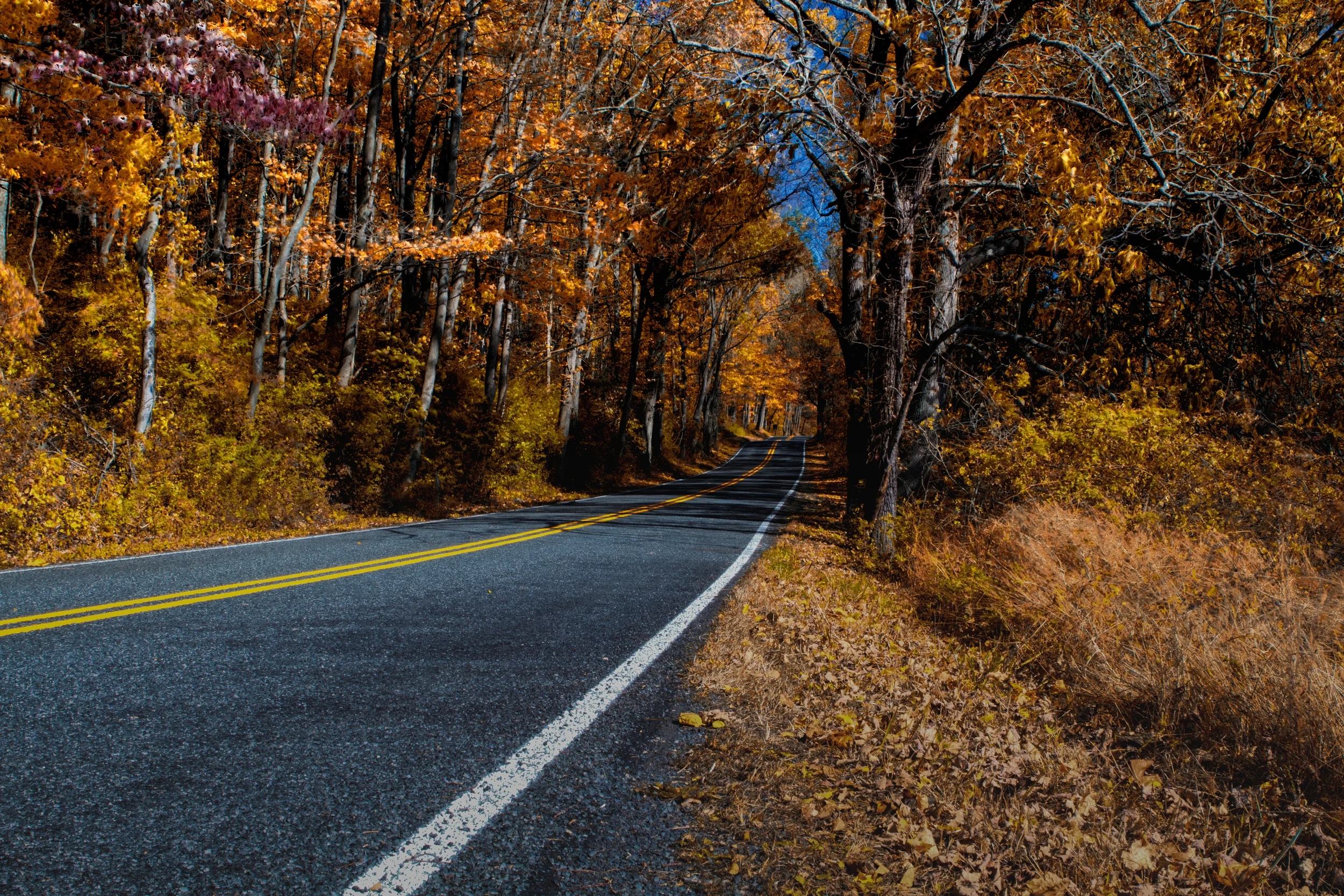 Autumn Road