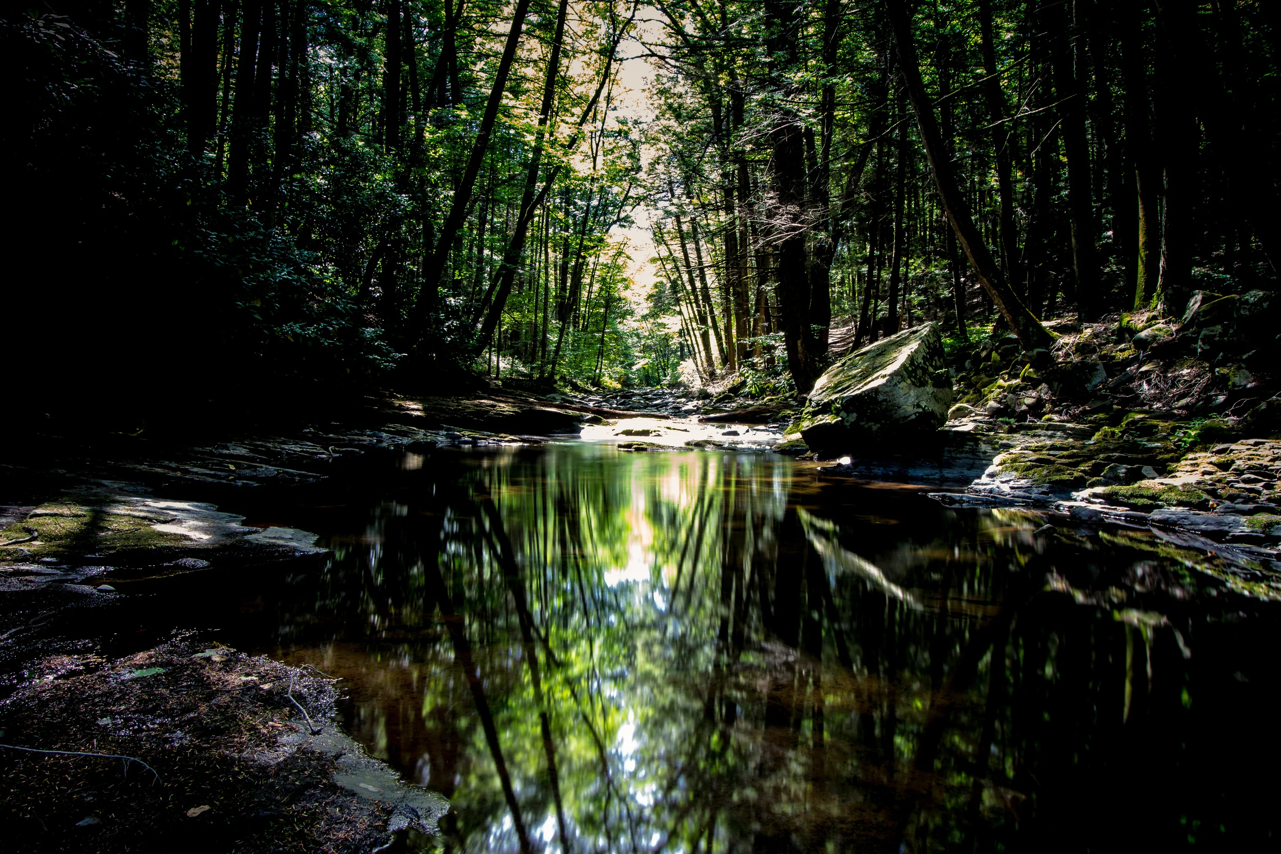 Late Summer