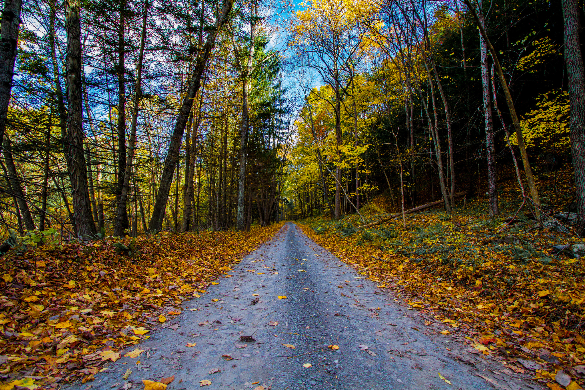 Just past Buttermilk Falls