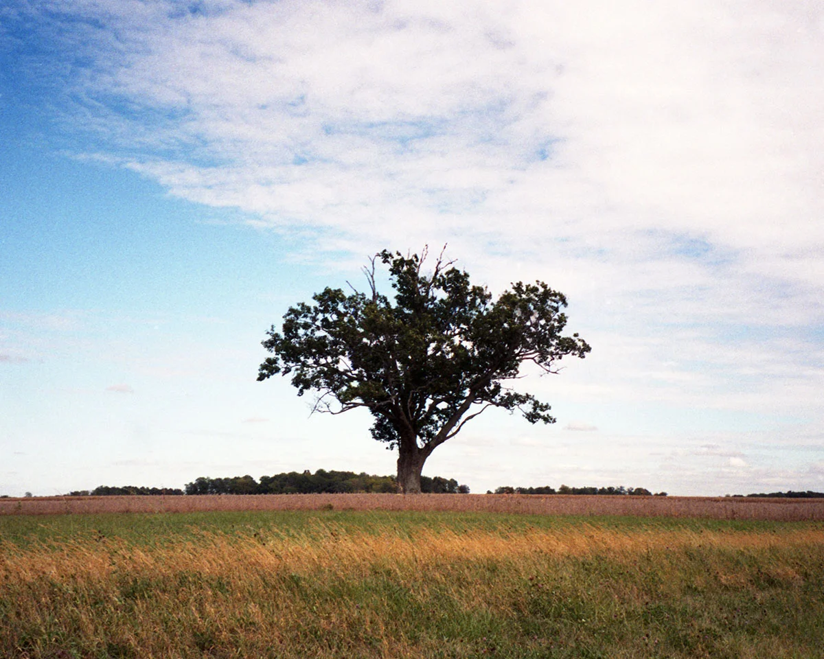 summerfilmfair098.jpg
