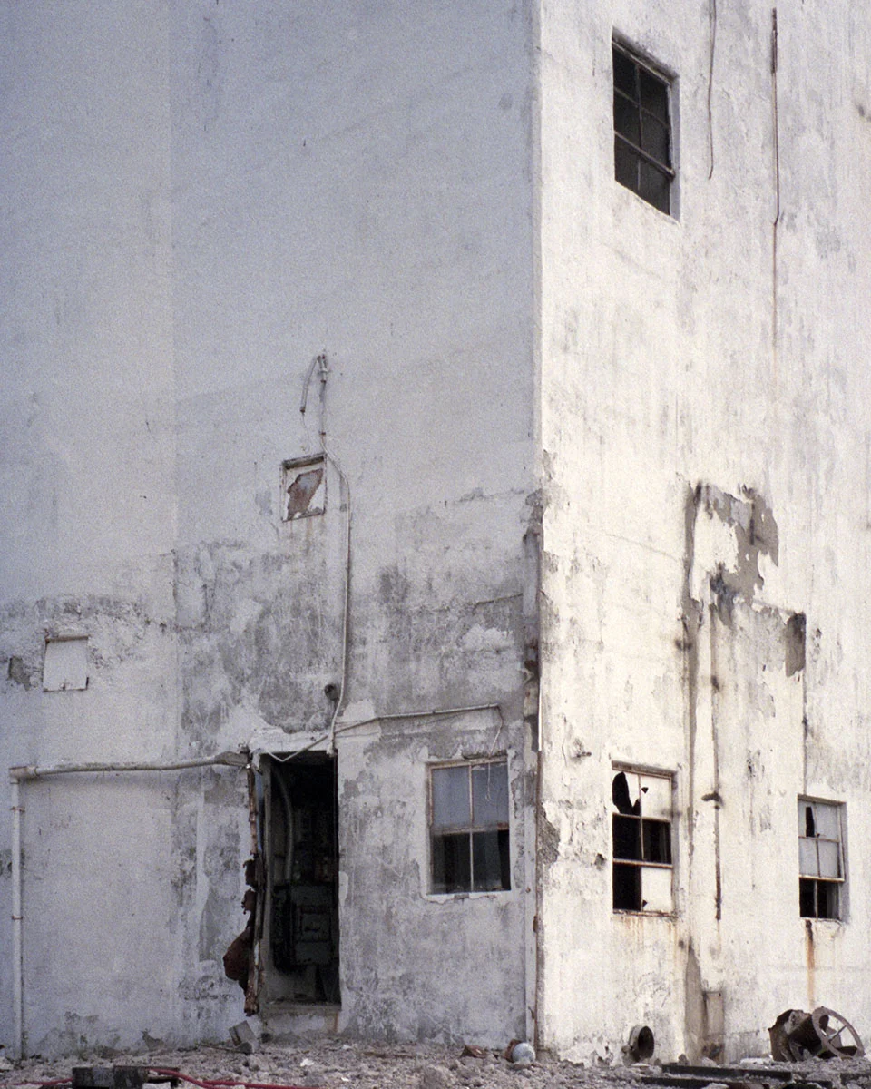 summerfilmflags041.jpg