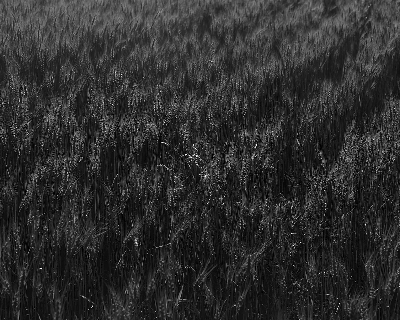 062416_1435.jpg