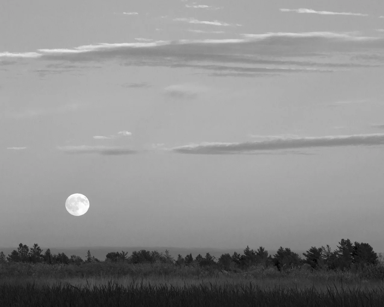 081716_2714.jpg