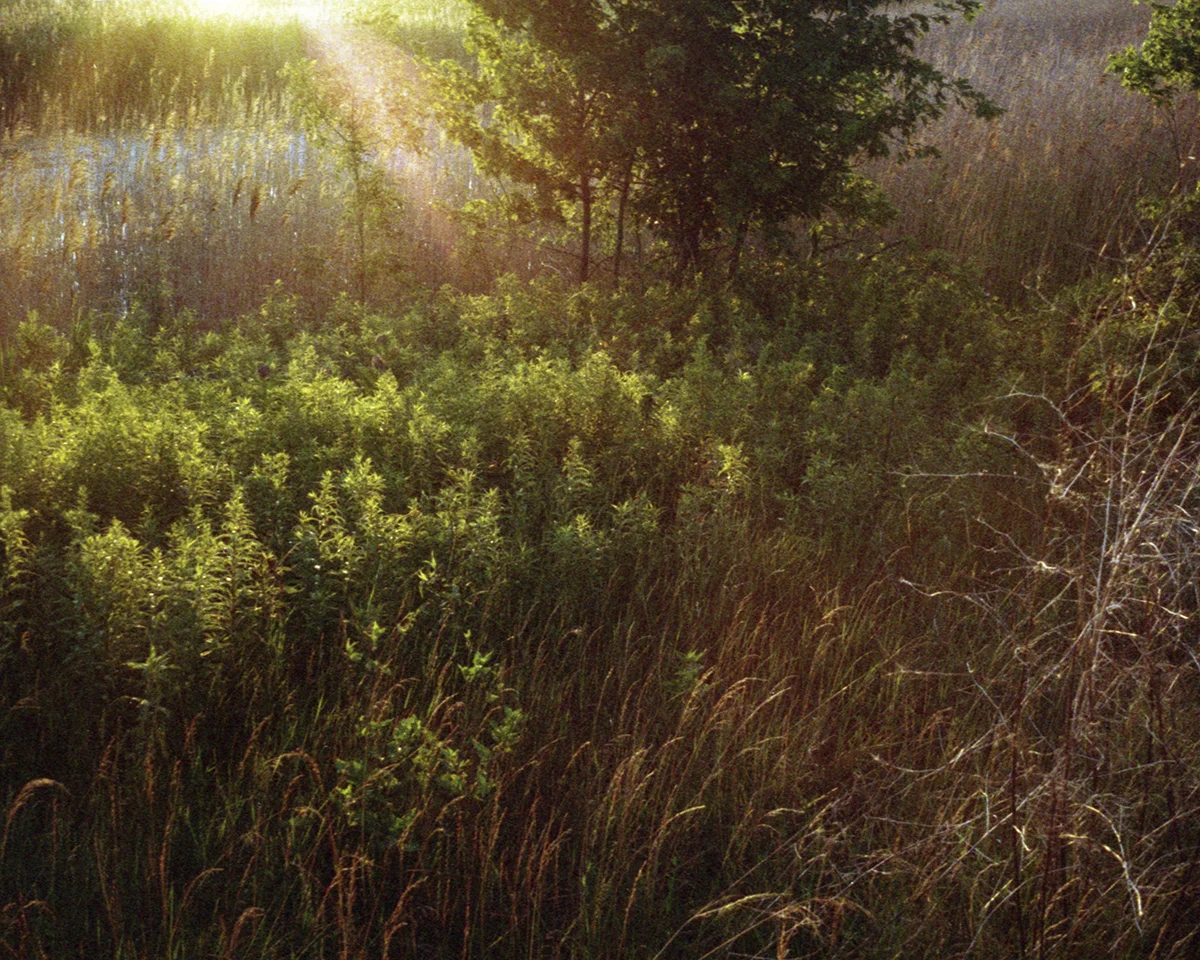 Golden Hour at Lake Erie