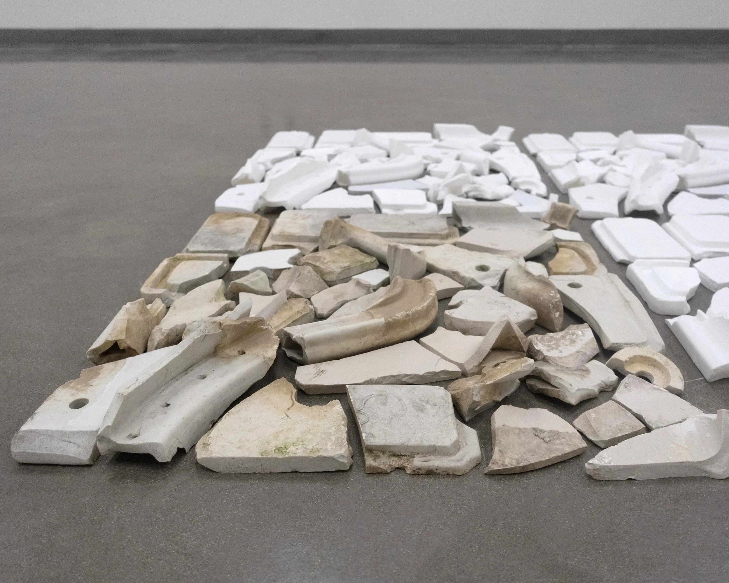20160214_shards_0080 copy.jpg
