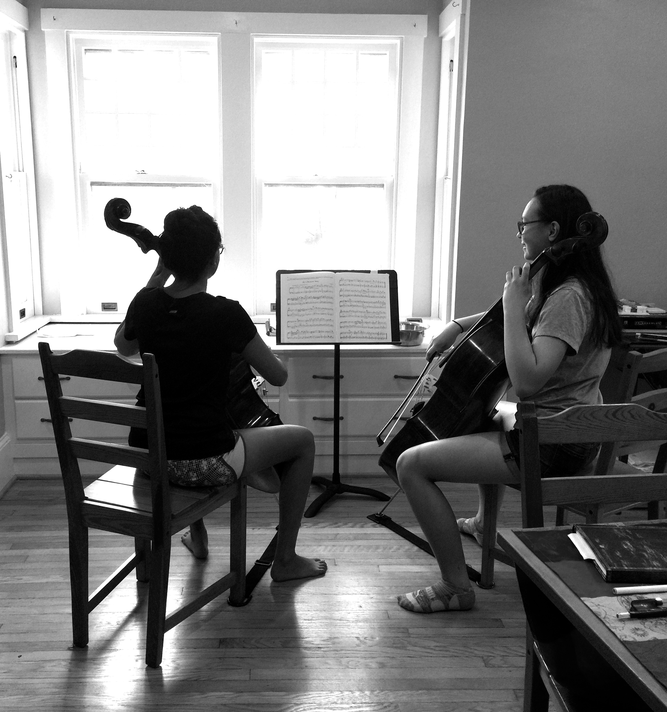  Summer Cello Workshop, July 2017 