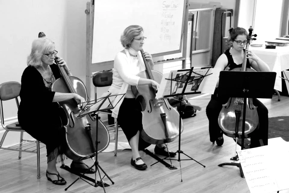 Spring studio recital, May 2015