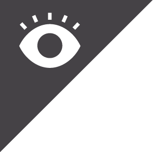 icon_casestudy.png