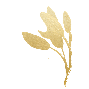 Gold Sage Leaf
