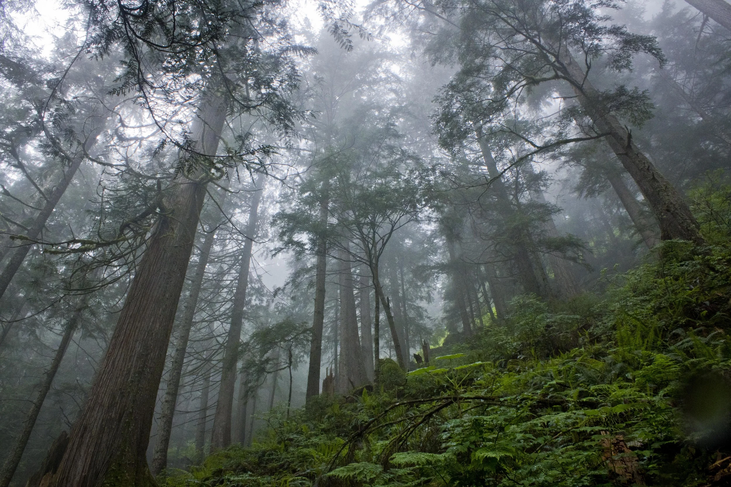 Lake Serene, May 2015