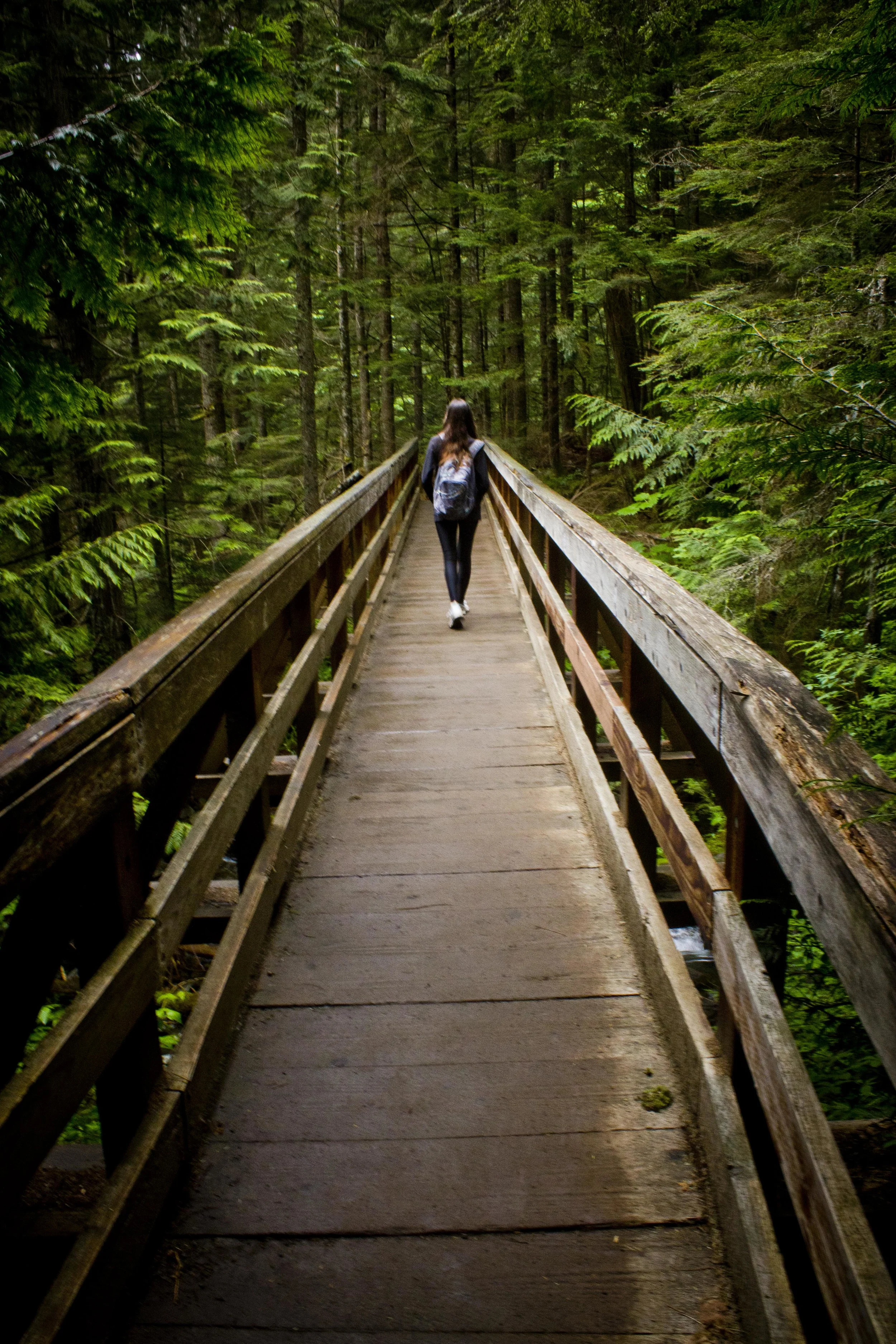 Lake Serene, May 2015