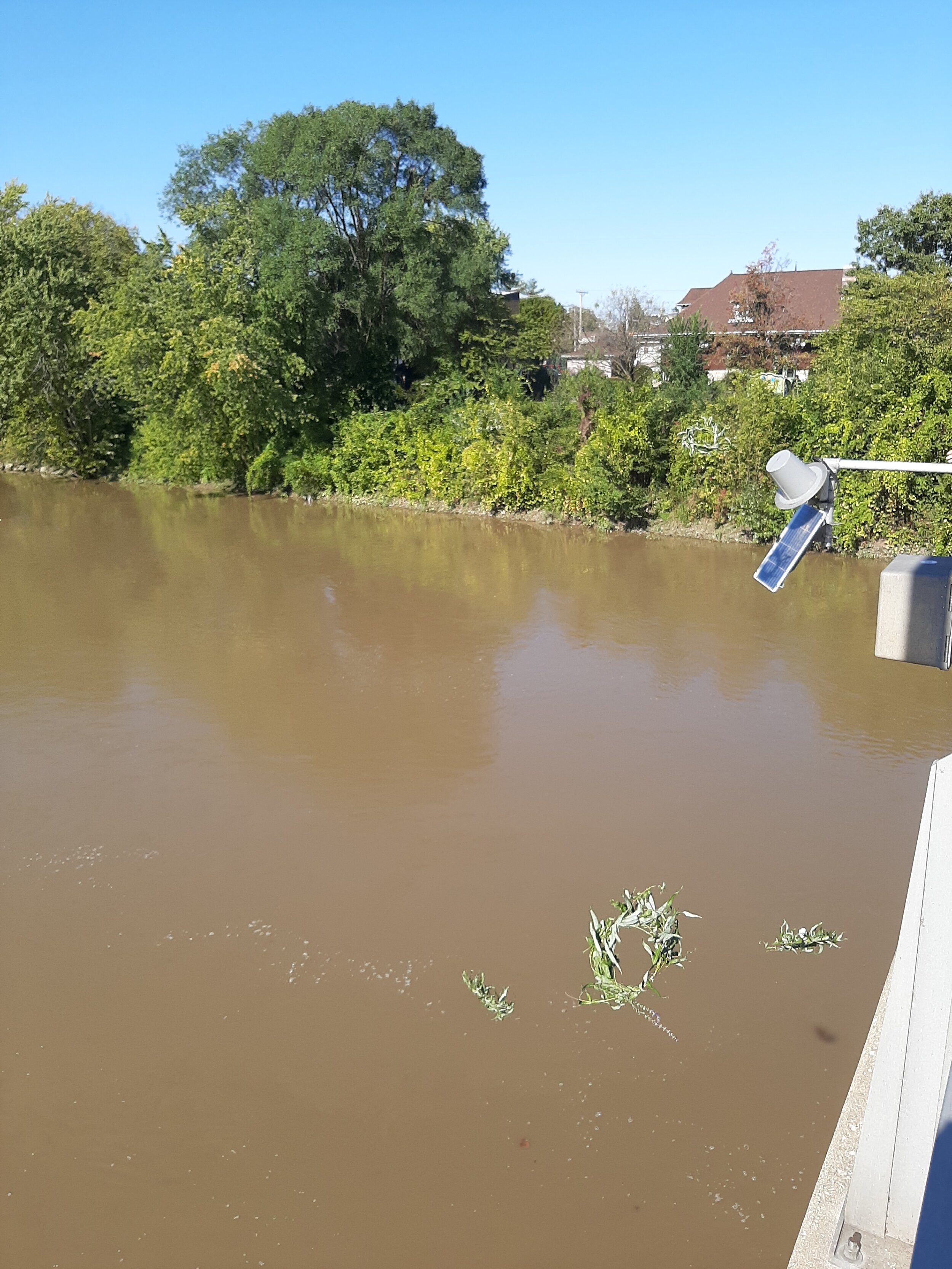 Wreaths dropping into the river.jpg