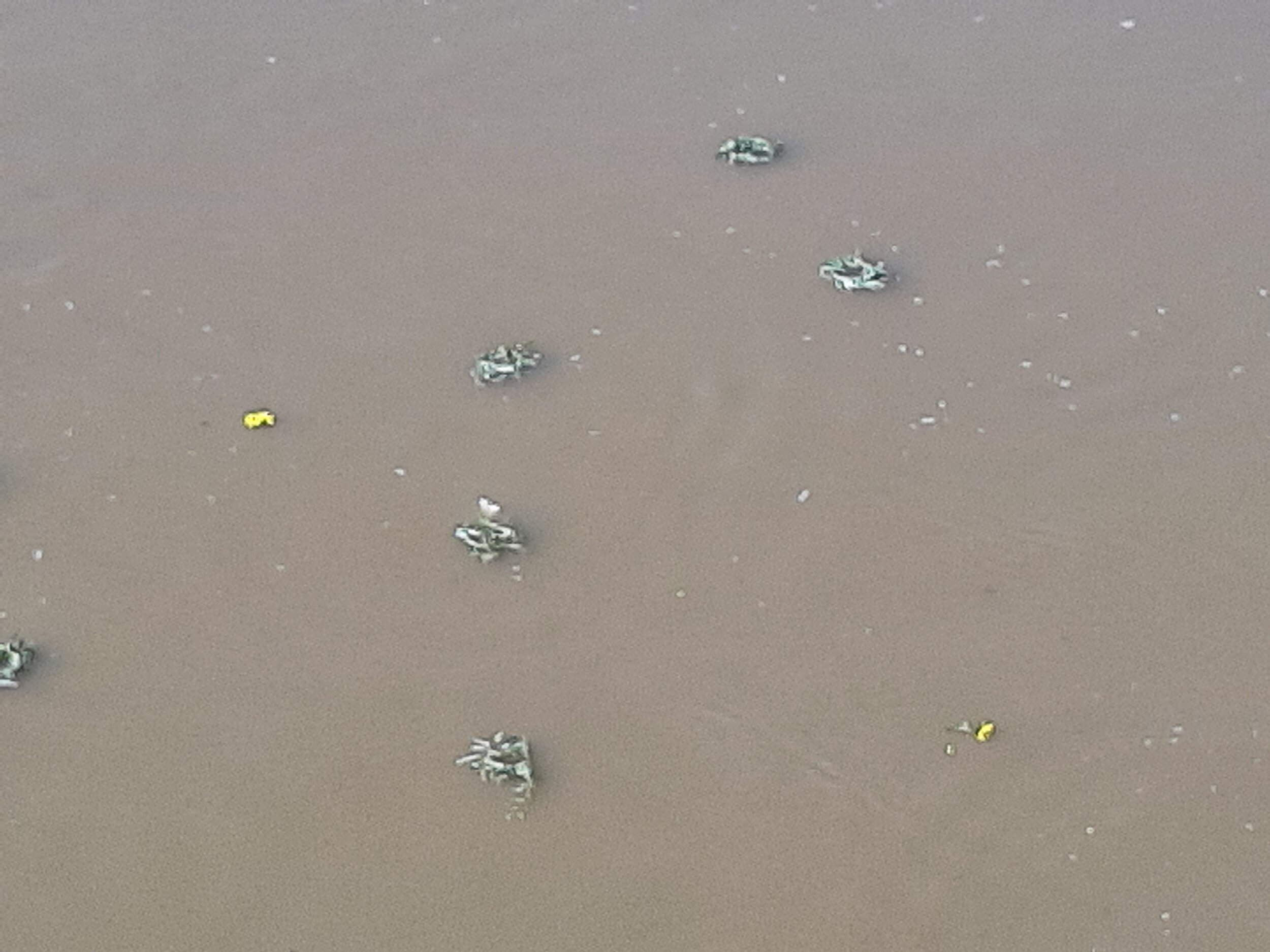 Wreaths floating in the Wabash.jpg