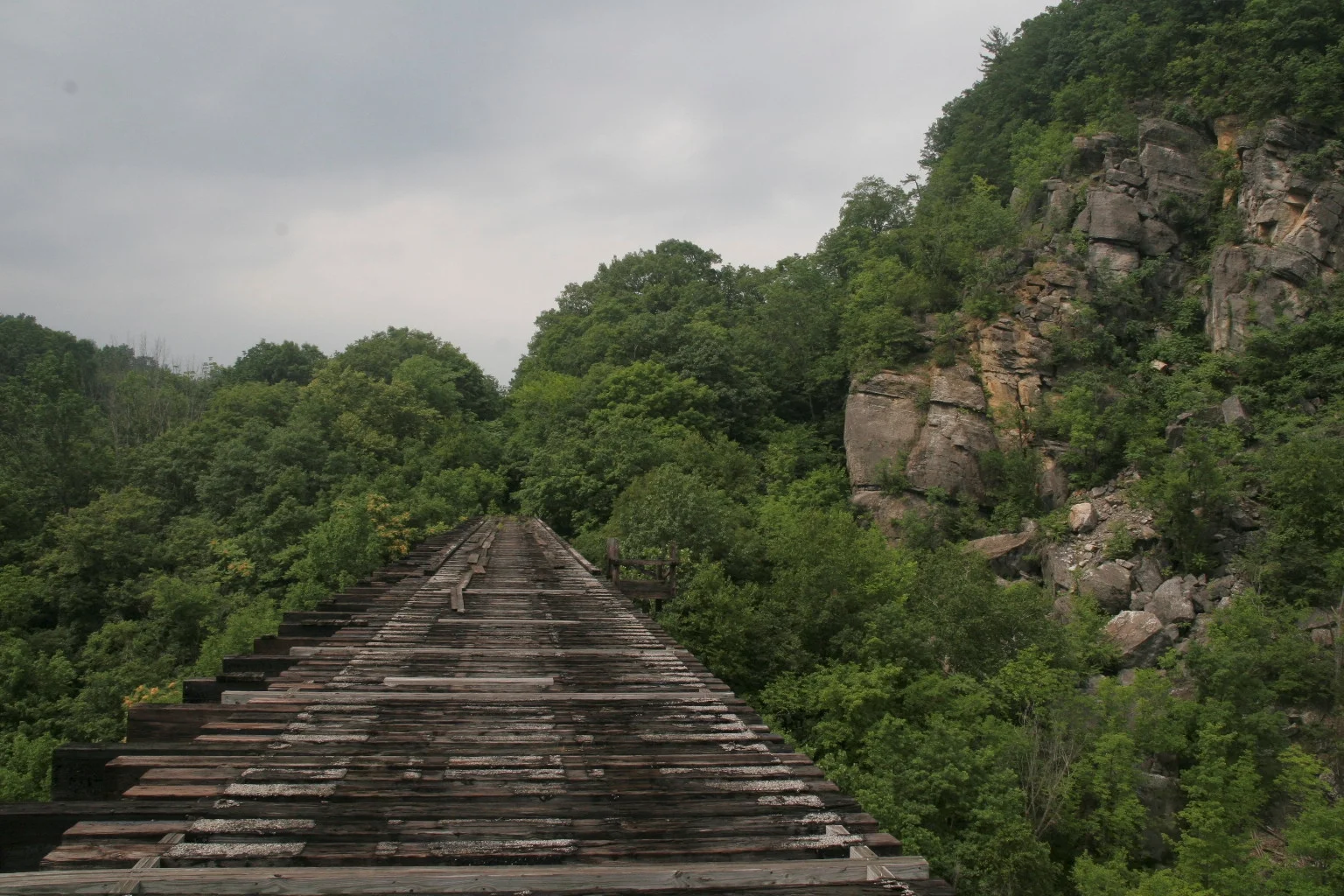 _MG_1854.jpg