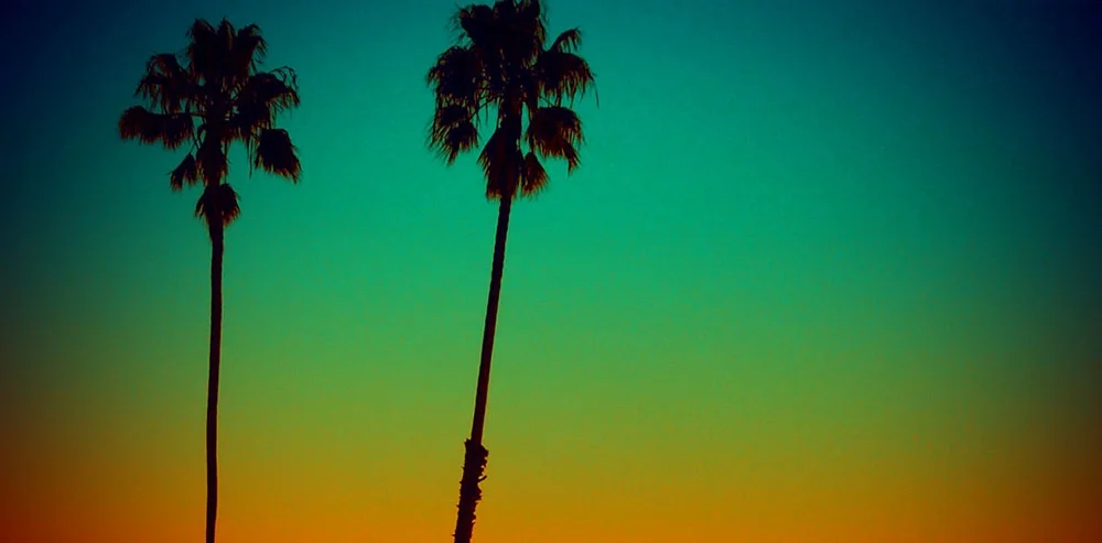 2palms-873746542-o.jpg