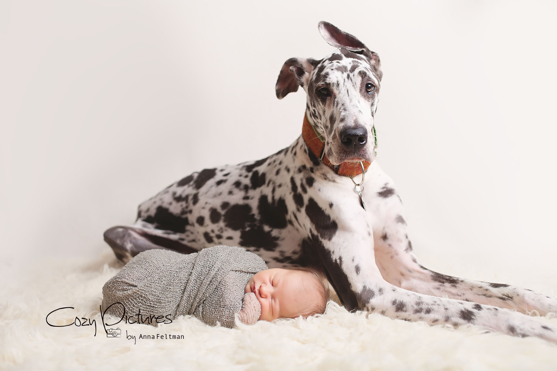 Orlando Newborn Photographer_9.jpg