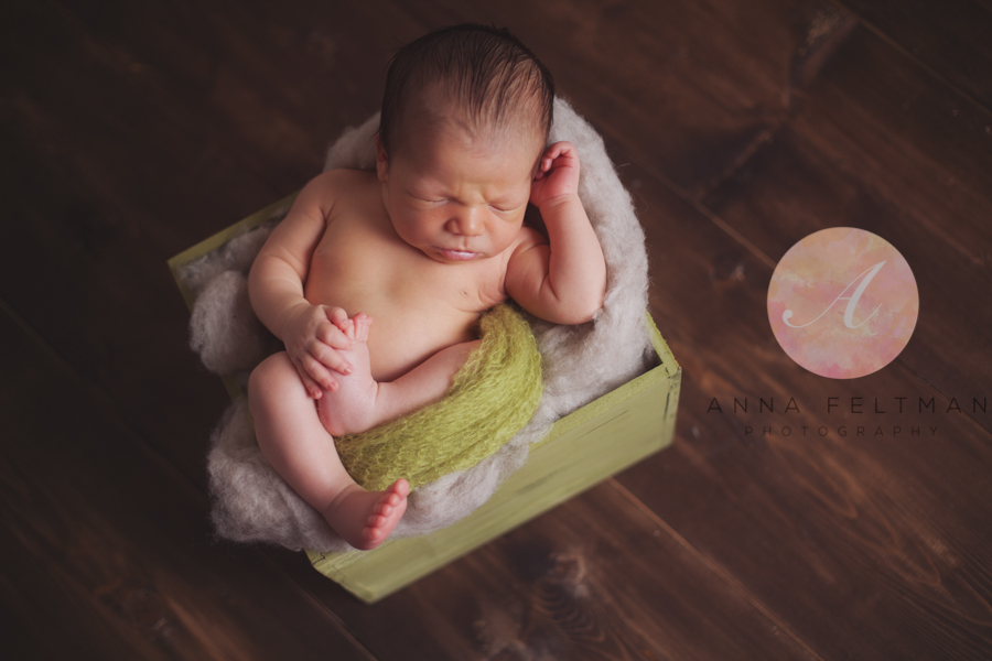Lake Mary Photographer Newborn.jpg