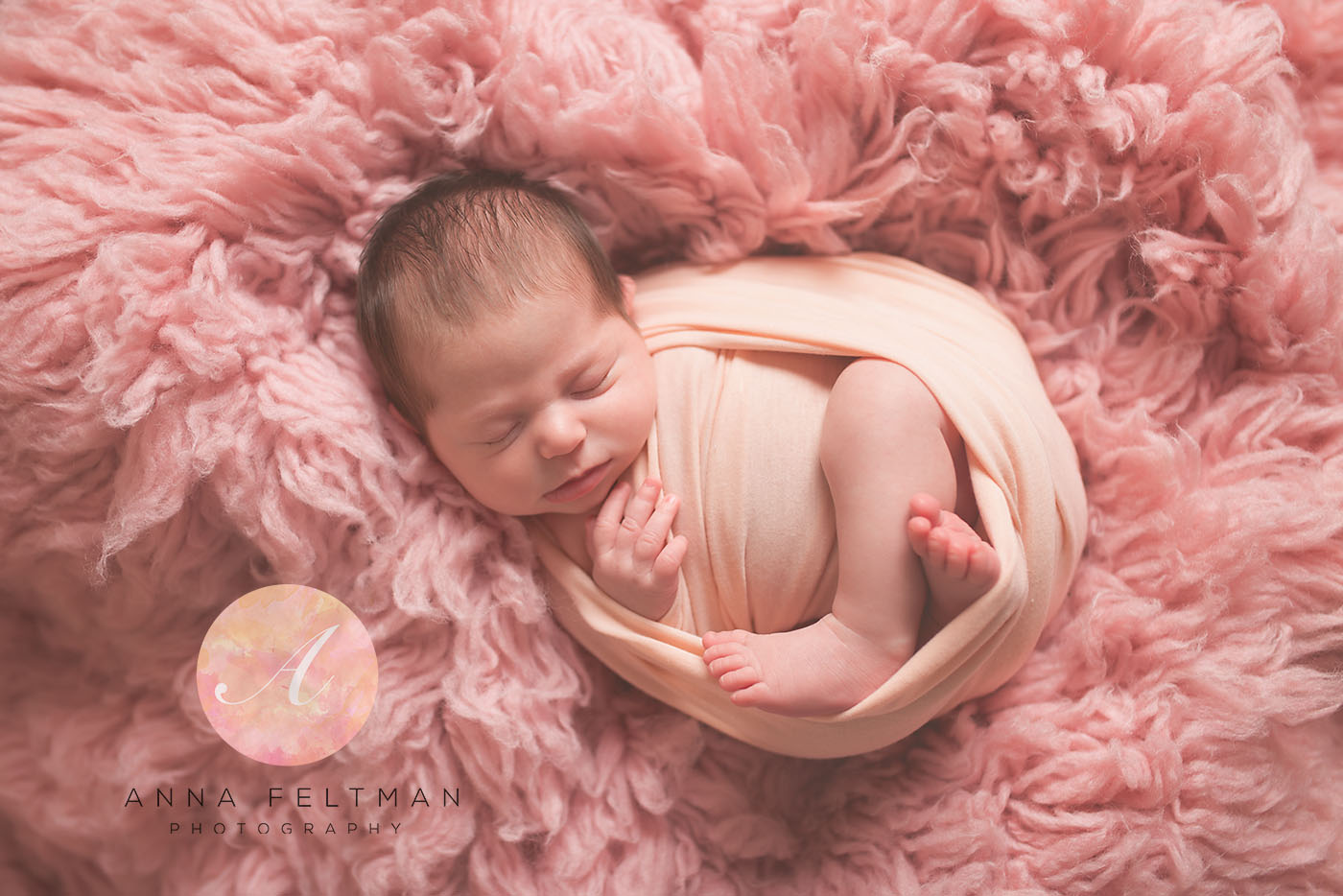Anna Feltman Photography Newborn orlando Photographer.jpg