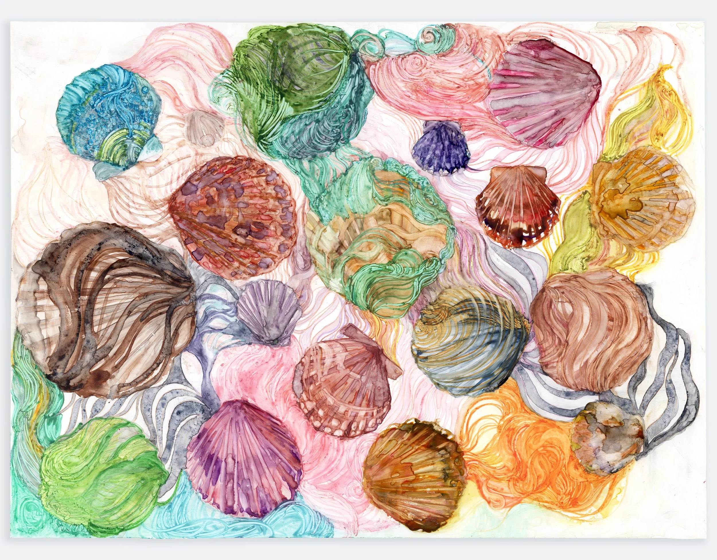 Scallops, 2025 | watercolor on yupo, 11.75" x 16"