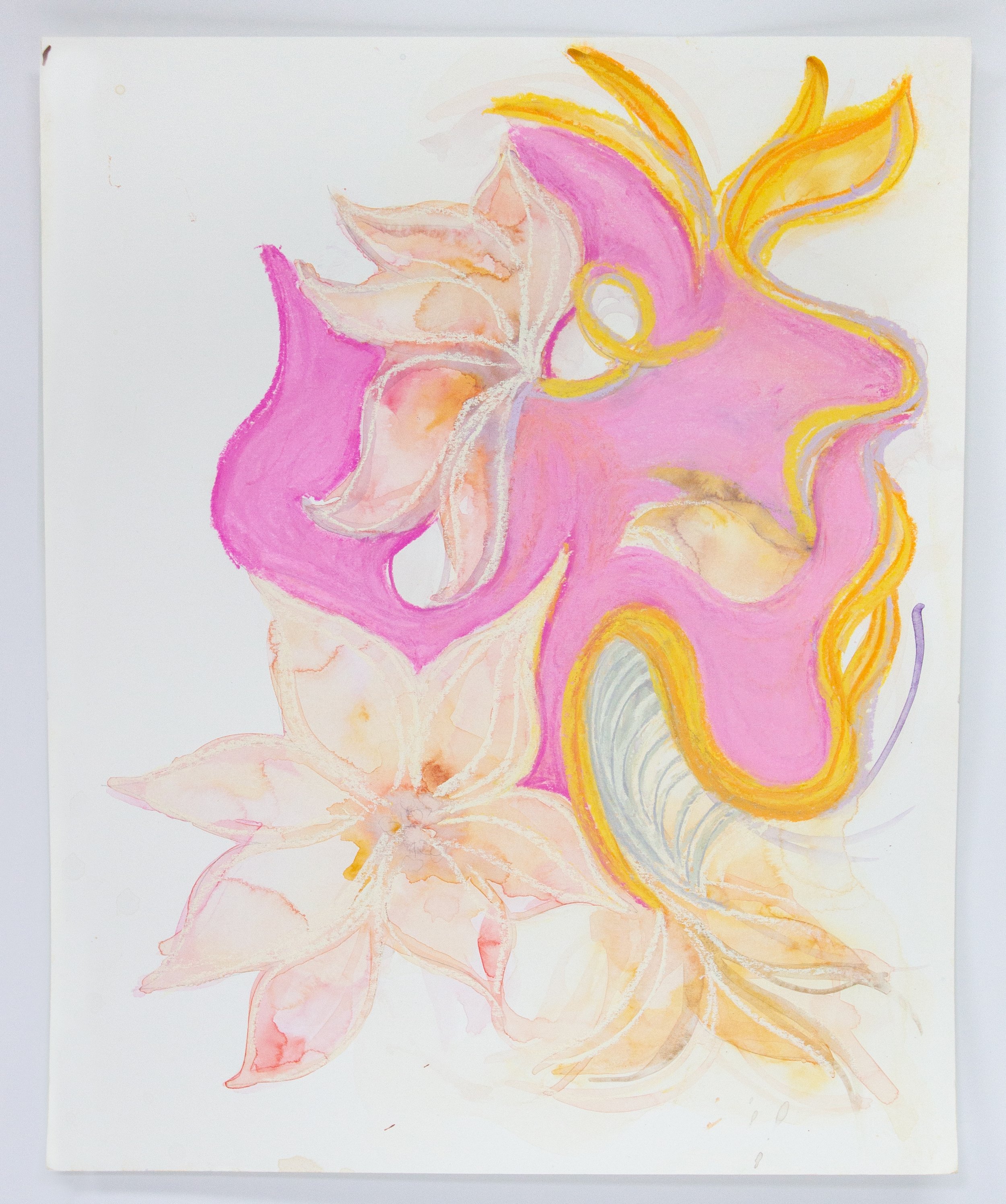 Clematis #2, 2025・pastel and watercolor on paper, 14" x 11"