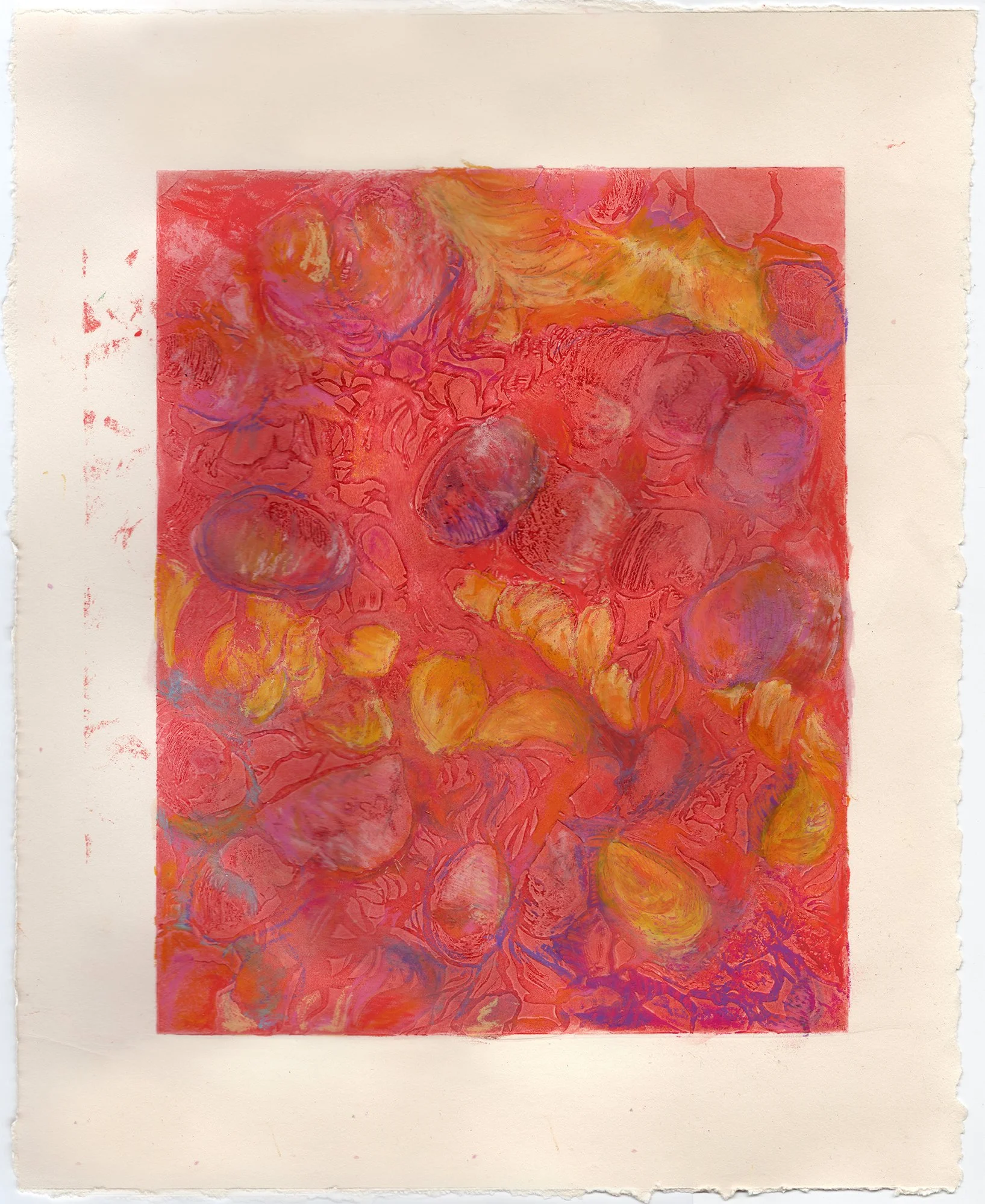 Solar Shells #1, 2025・etching and oil pastel on paper, 14" x 11.25"