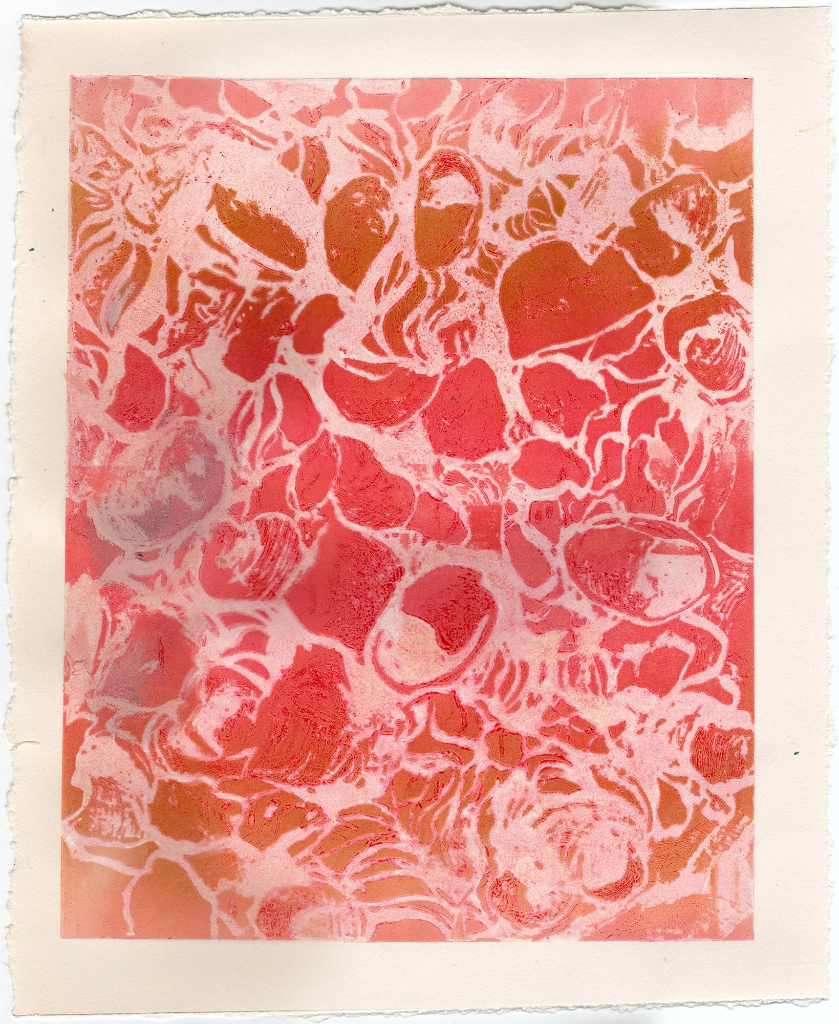 Solar Shells #2, 2025・etching and oil pastel on paper, 11.75" x 9.5"