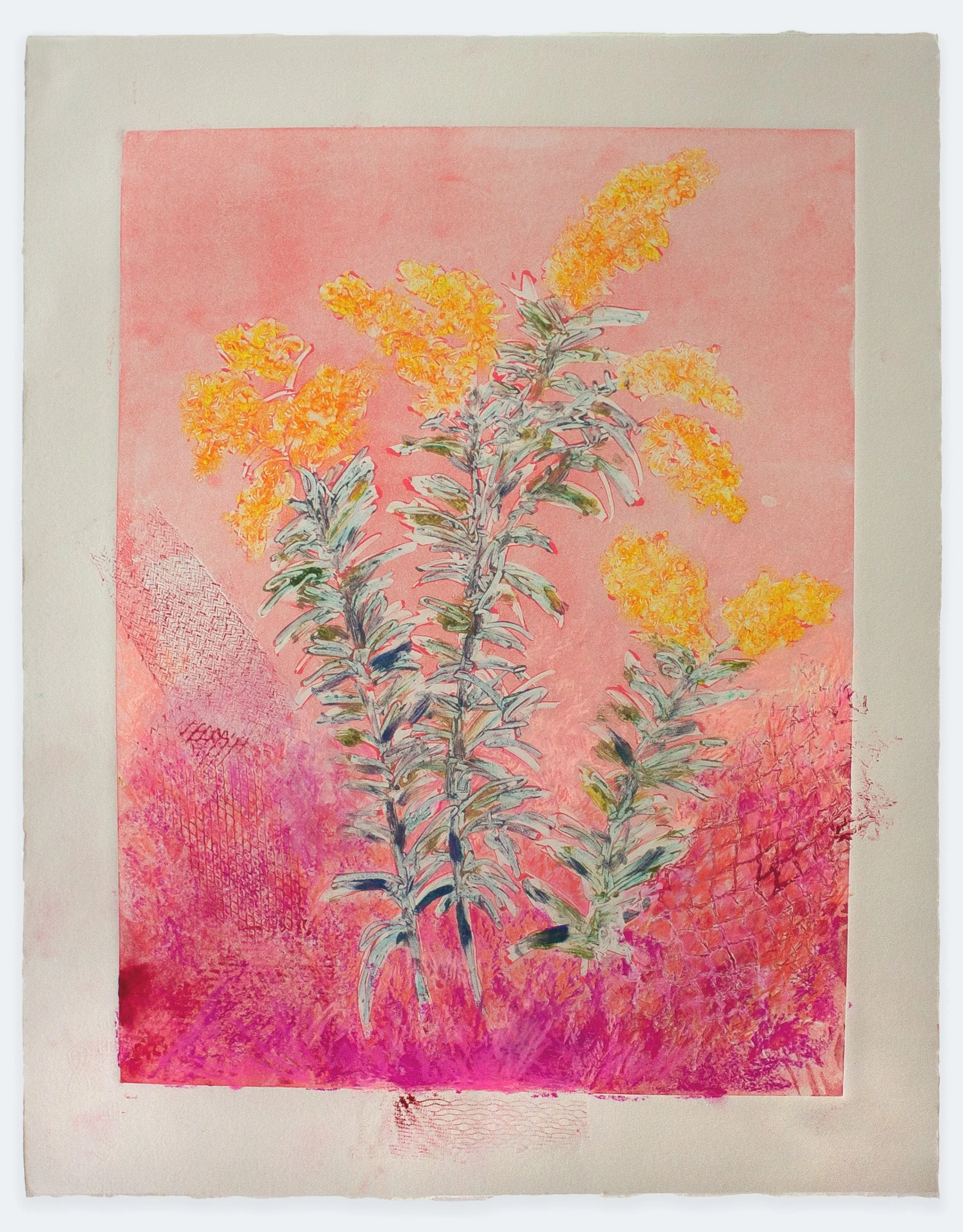 Goldenrod, 2025 | monoprint with colored pencil, 22" x 15"