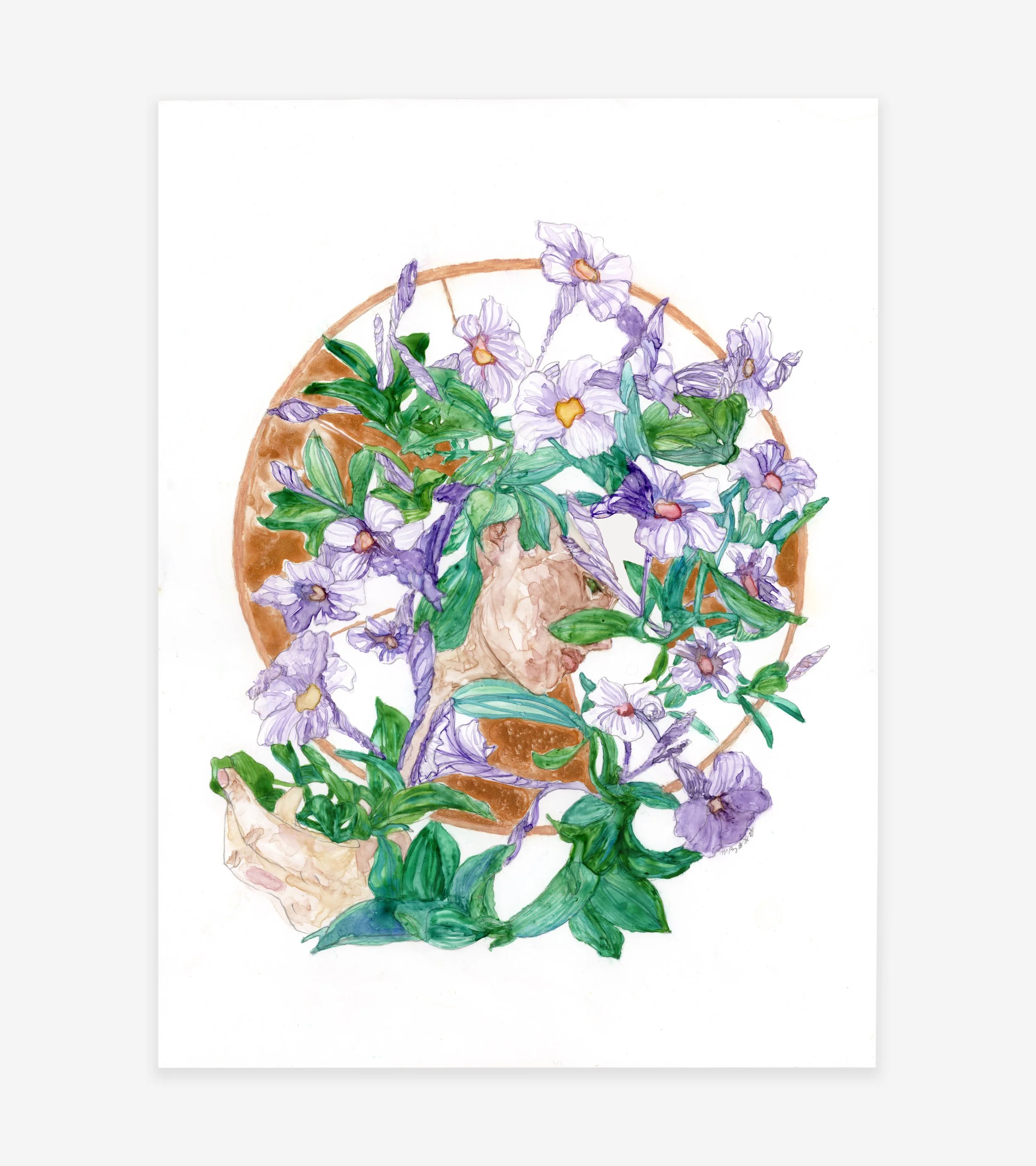 Mandevilla